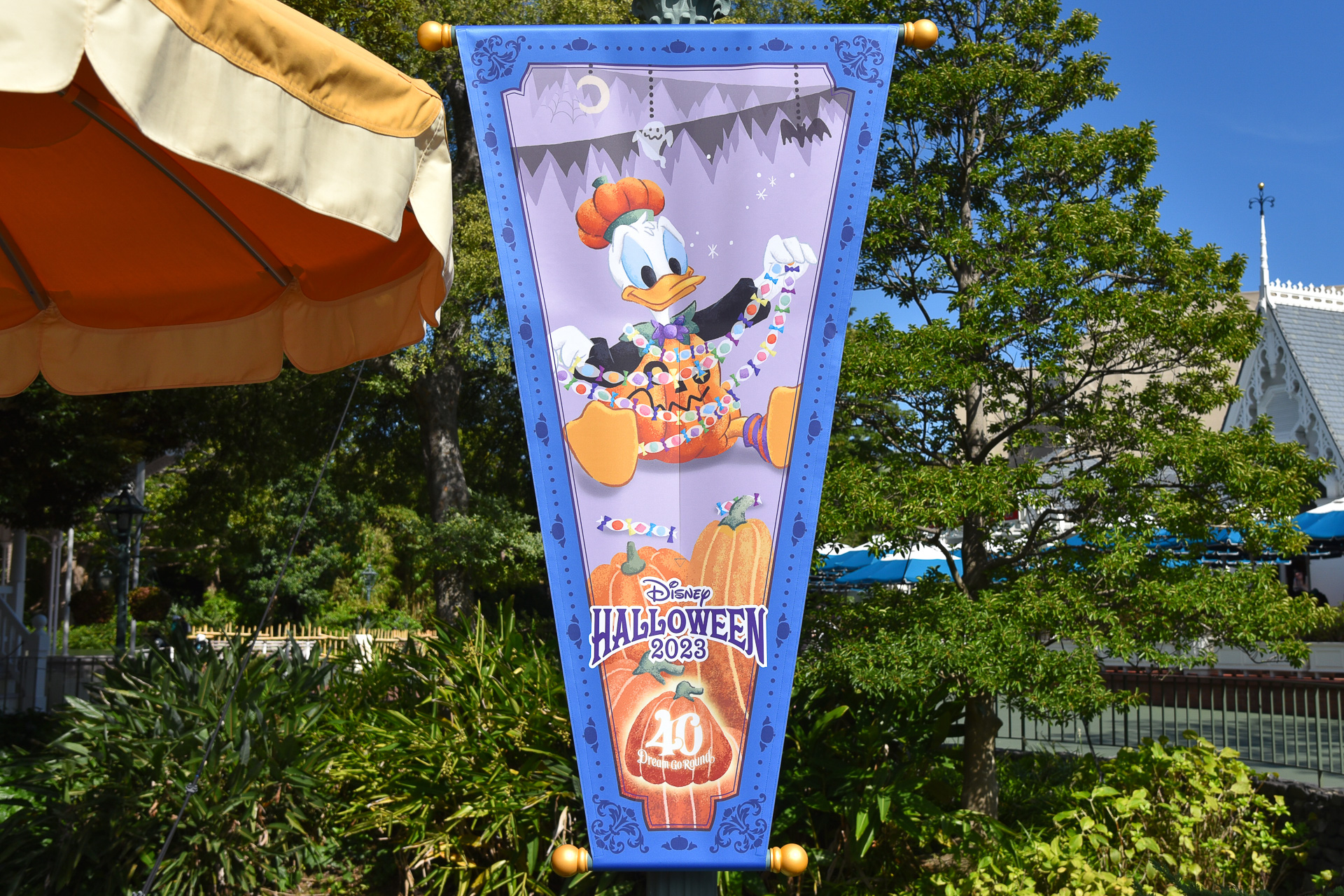 ドナルドダック