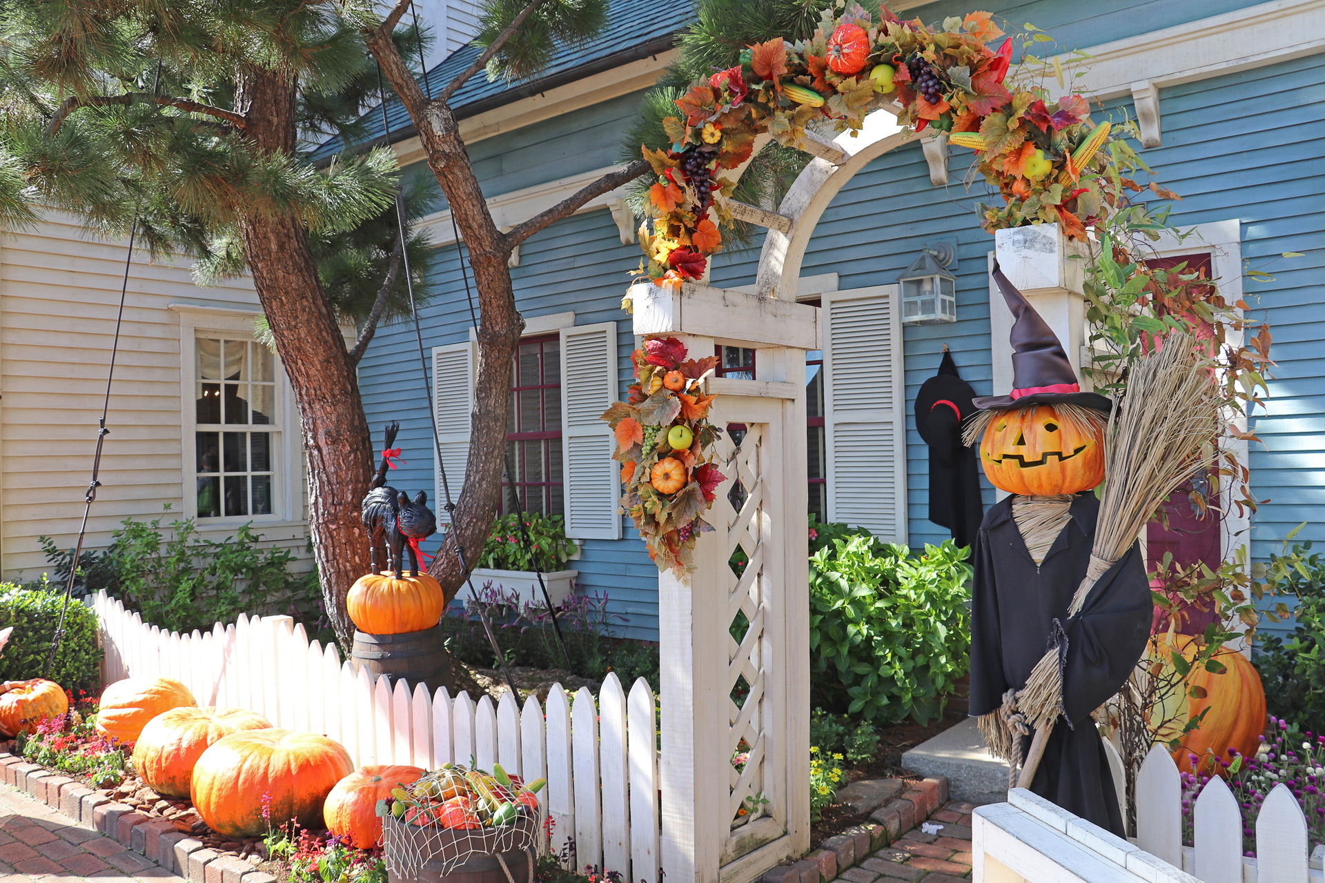 ケープコッド・クックオフ側の、かぼちゃのかかし。魔女風のキュートなかかしだ