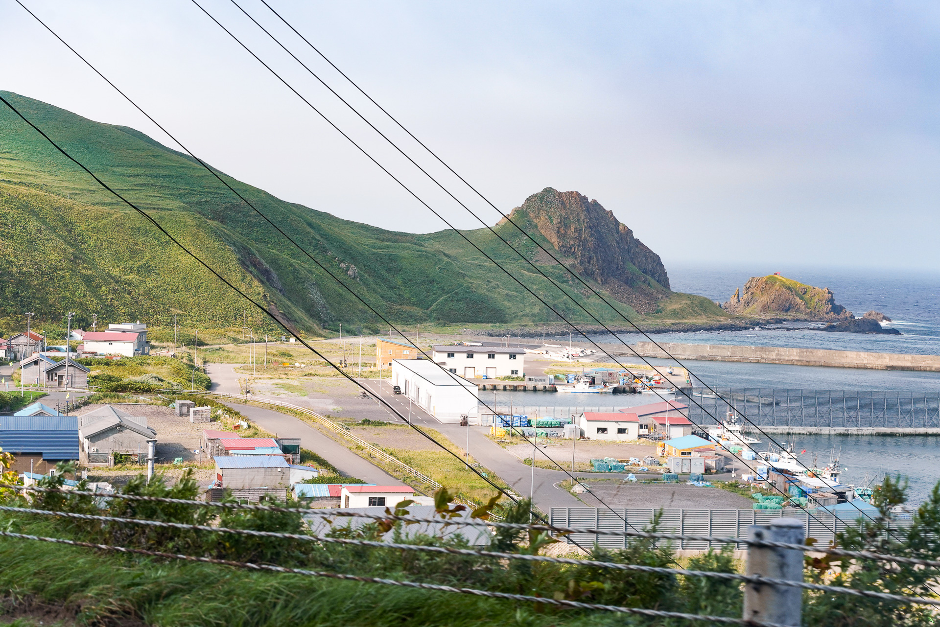 小さな魚港が見えてくる。この近くに岡本さんは住んでいる