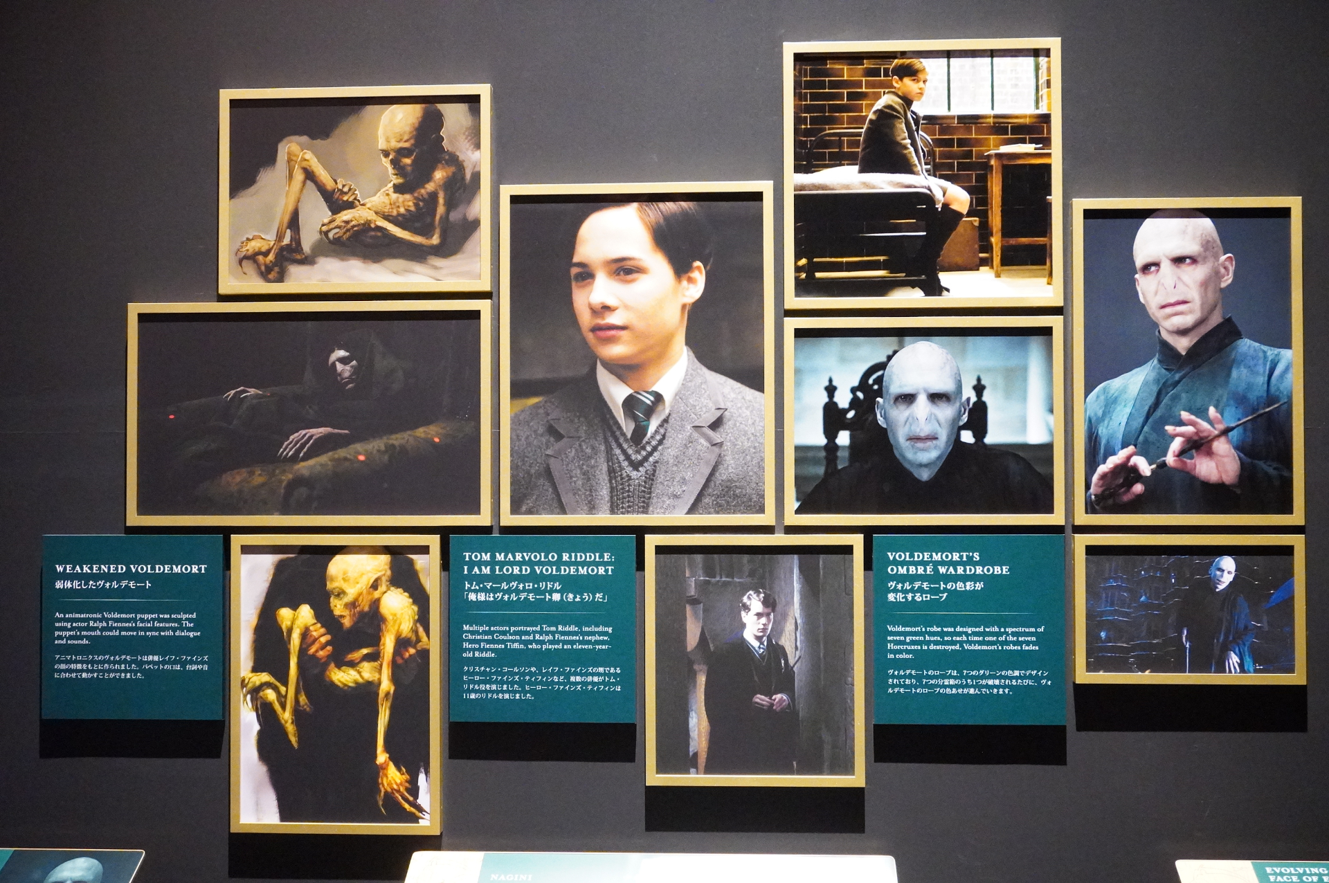 悪の帝王になる前のトム・リドルに関する展示も