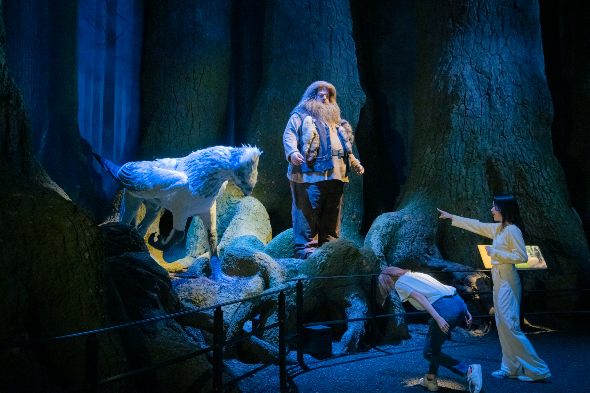 シリーズ3作目「ハリー・ポッターとアズカバンの囚人」で登場するヒッポグリフは、ハリーが魔法生物飼育学の授業で出会った巨大な魔法生物。礼儀作法を重んじるヒッポグリフに遭遇したら、丁寧にお辞儀するのがルール（写真提供：スタジオツアー東京）