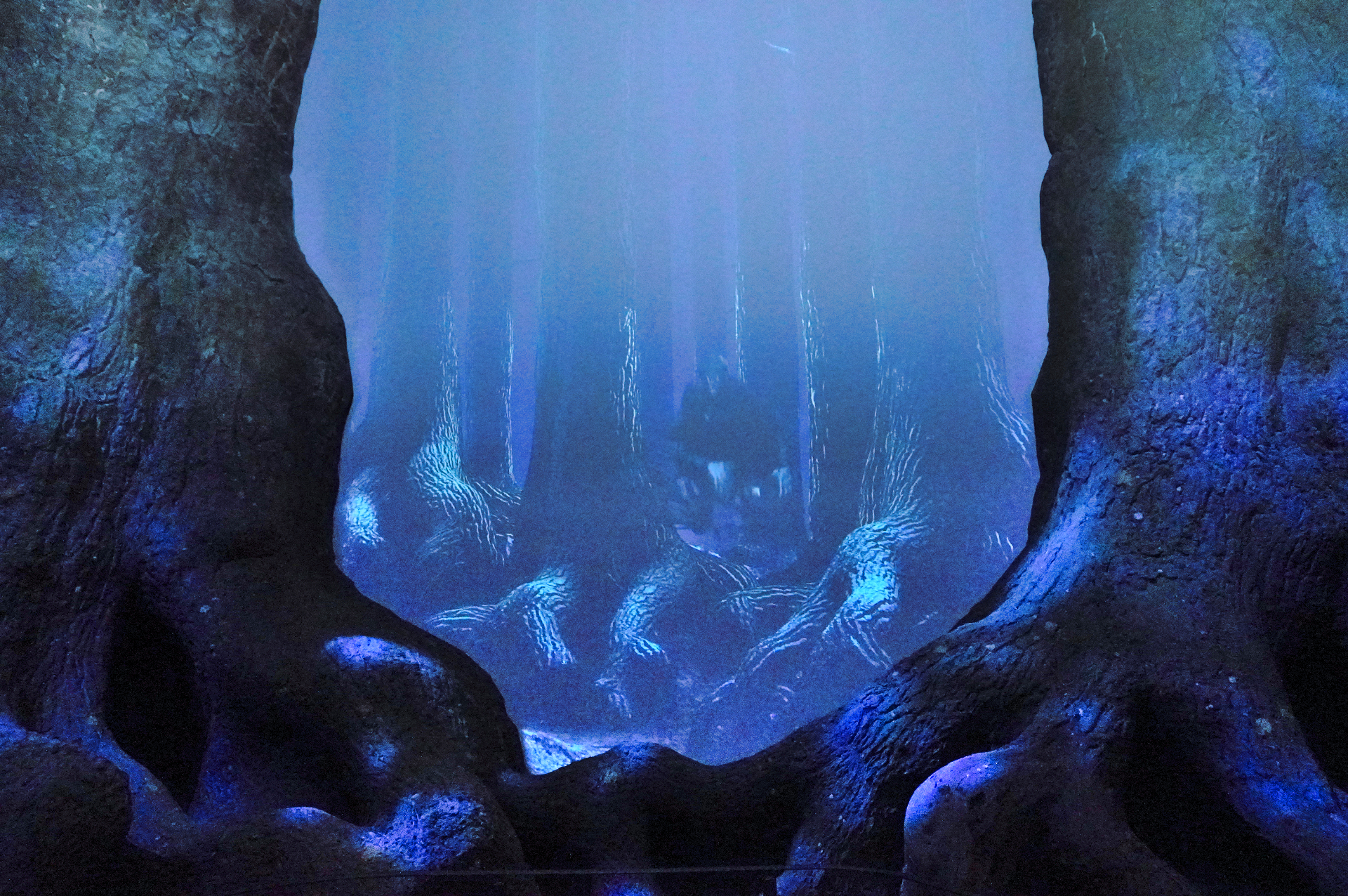 目を凝らして森の奥を見てみると……