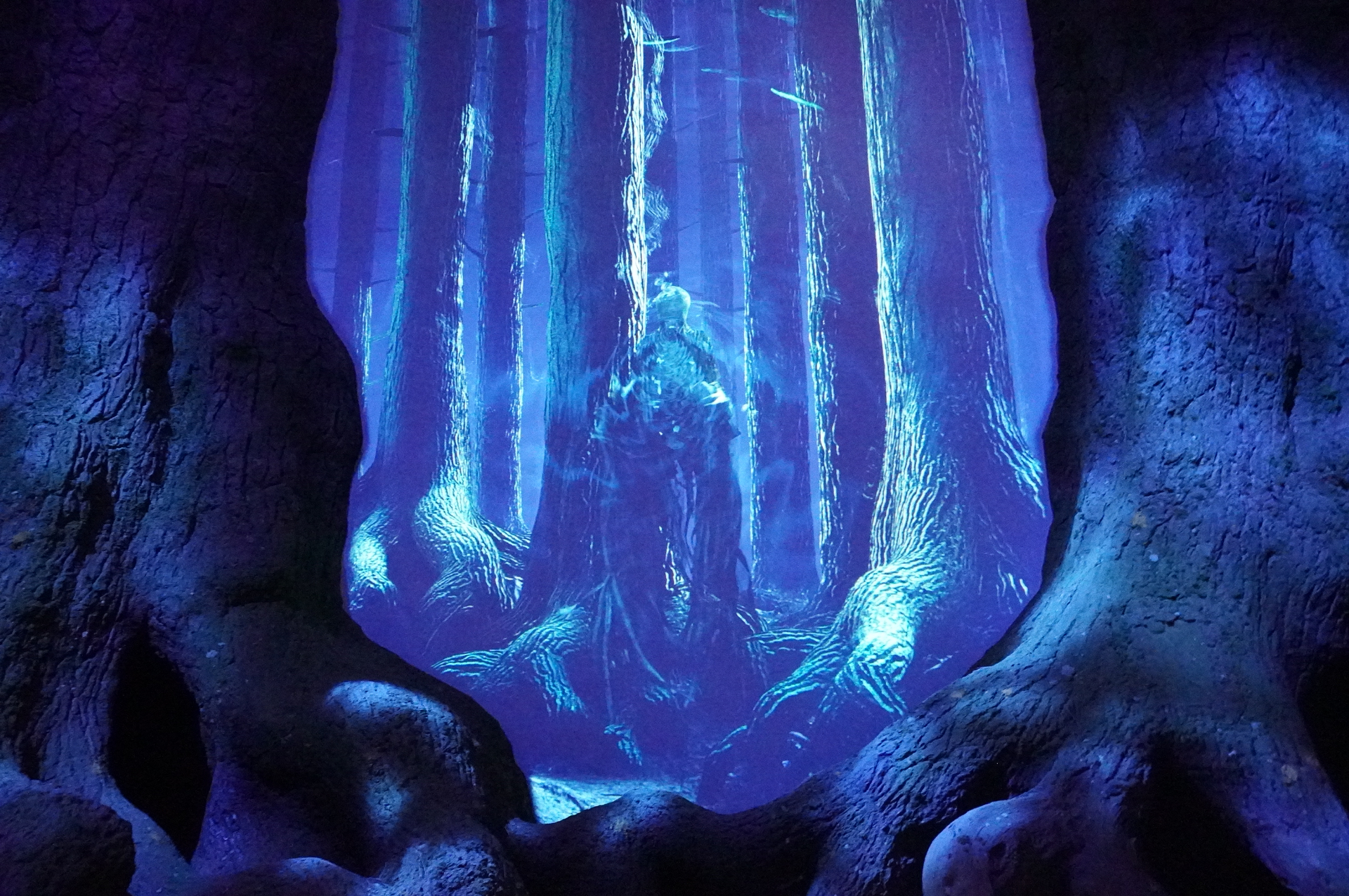 正体は吸魂鬼（ディメンター）。世界で最もおぞましい闇の生物とされている