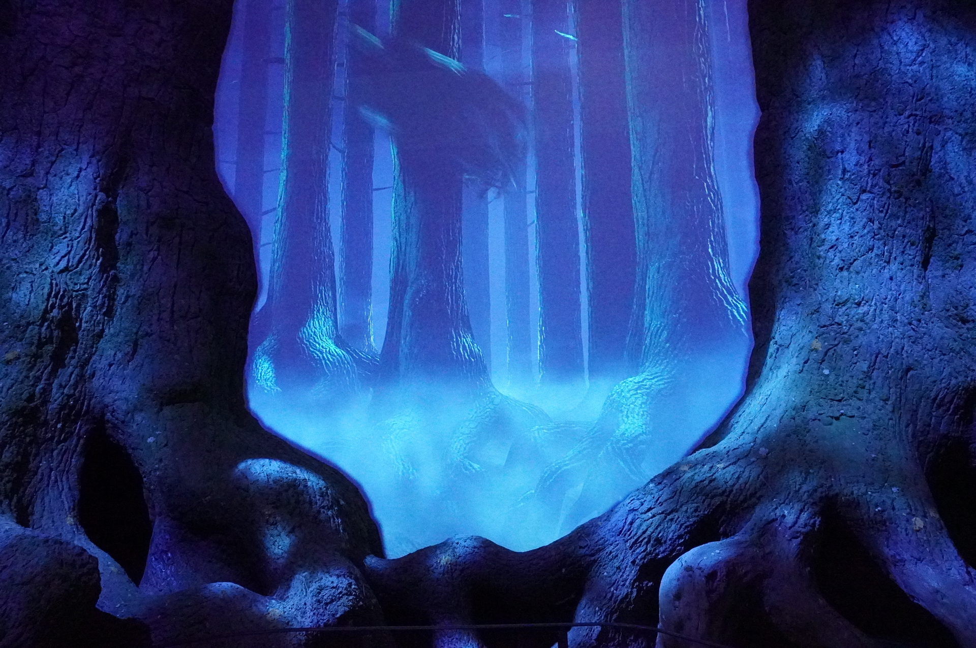 霧のなかを飛び回る黒い影