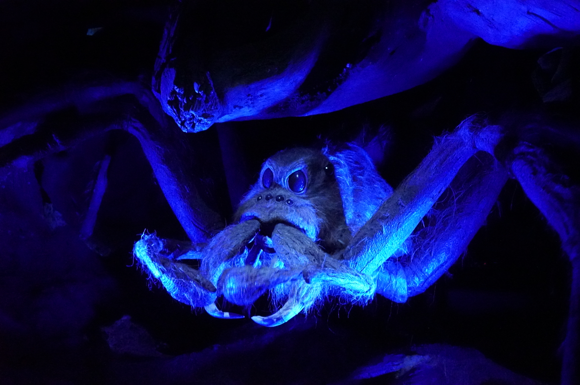 こちらは「ハリー・ポッターと秘密の部屋」に登場した巨大蜘蛛アラゴグ。ふさふさした毛もリアルで、映画で描かれた恐ろしいシーンが蘇りそう