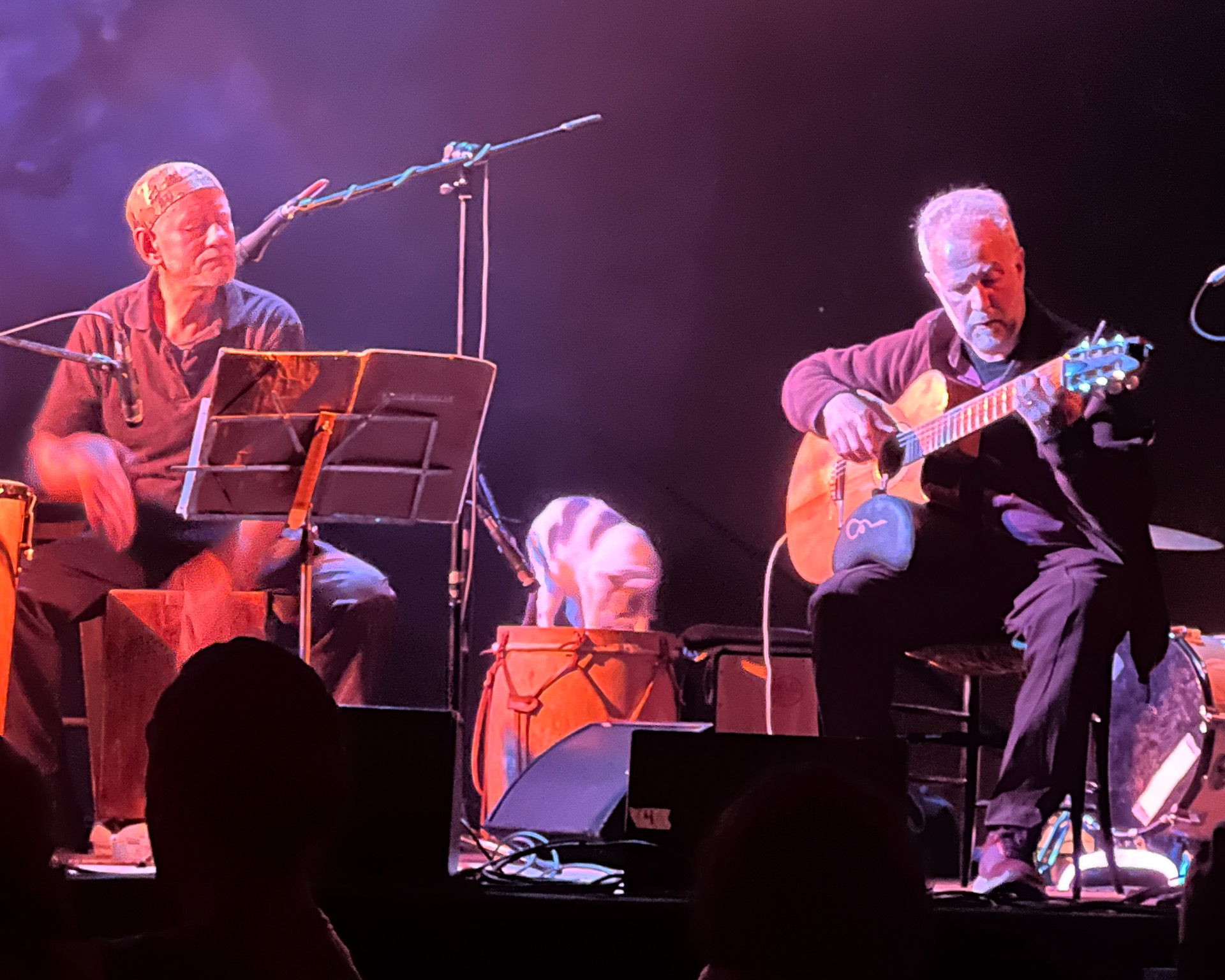 猫がステージに乱入しても誰も追い出さないおおらかさ