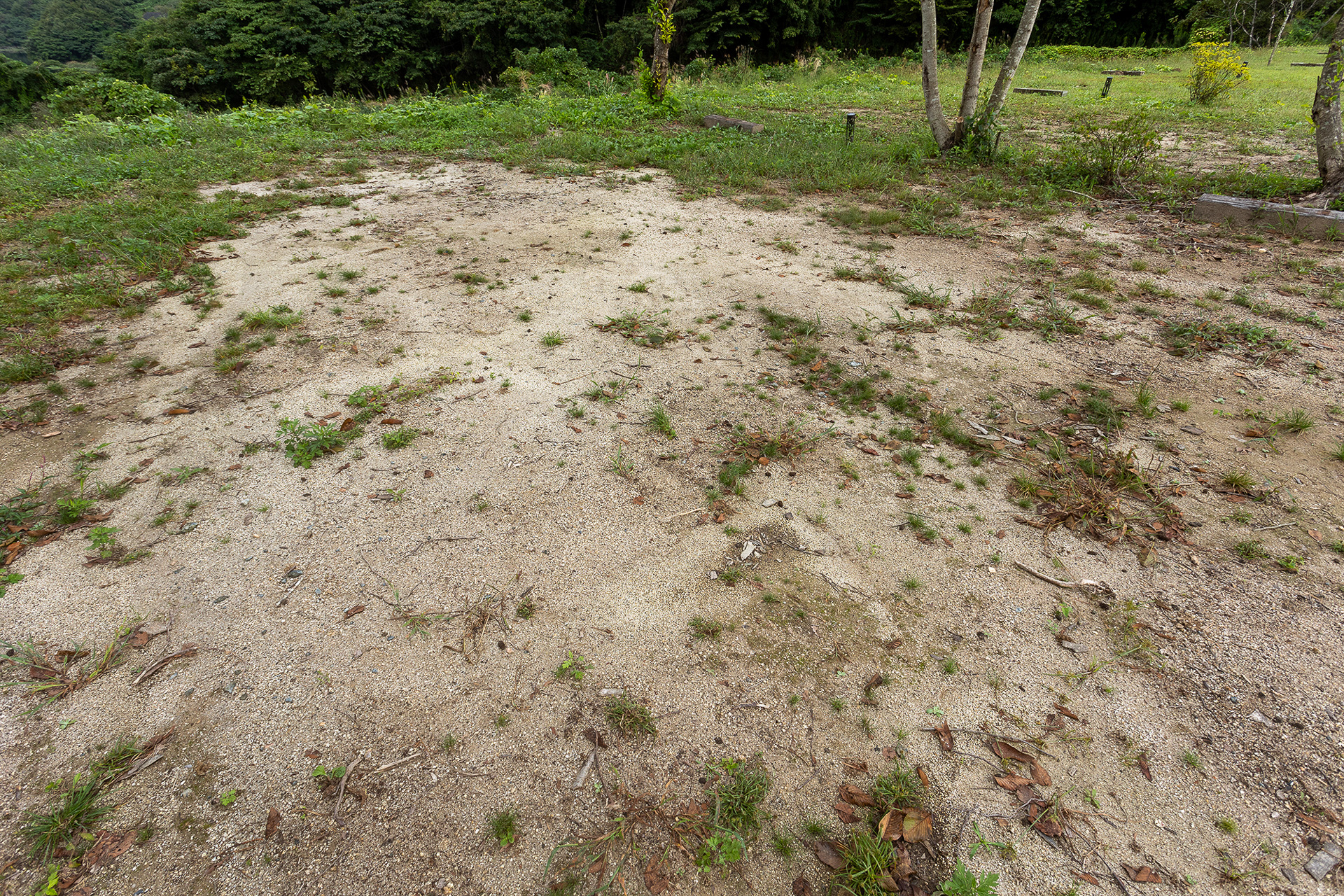 スペースの地面の土質はこんな感じ。ペグを打ってみたが手だけで押し込むのはムリ。でも、硬過ぎないので小型のハンマーがあれば余裕で打ち込めるレベル