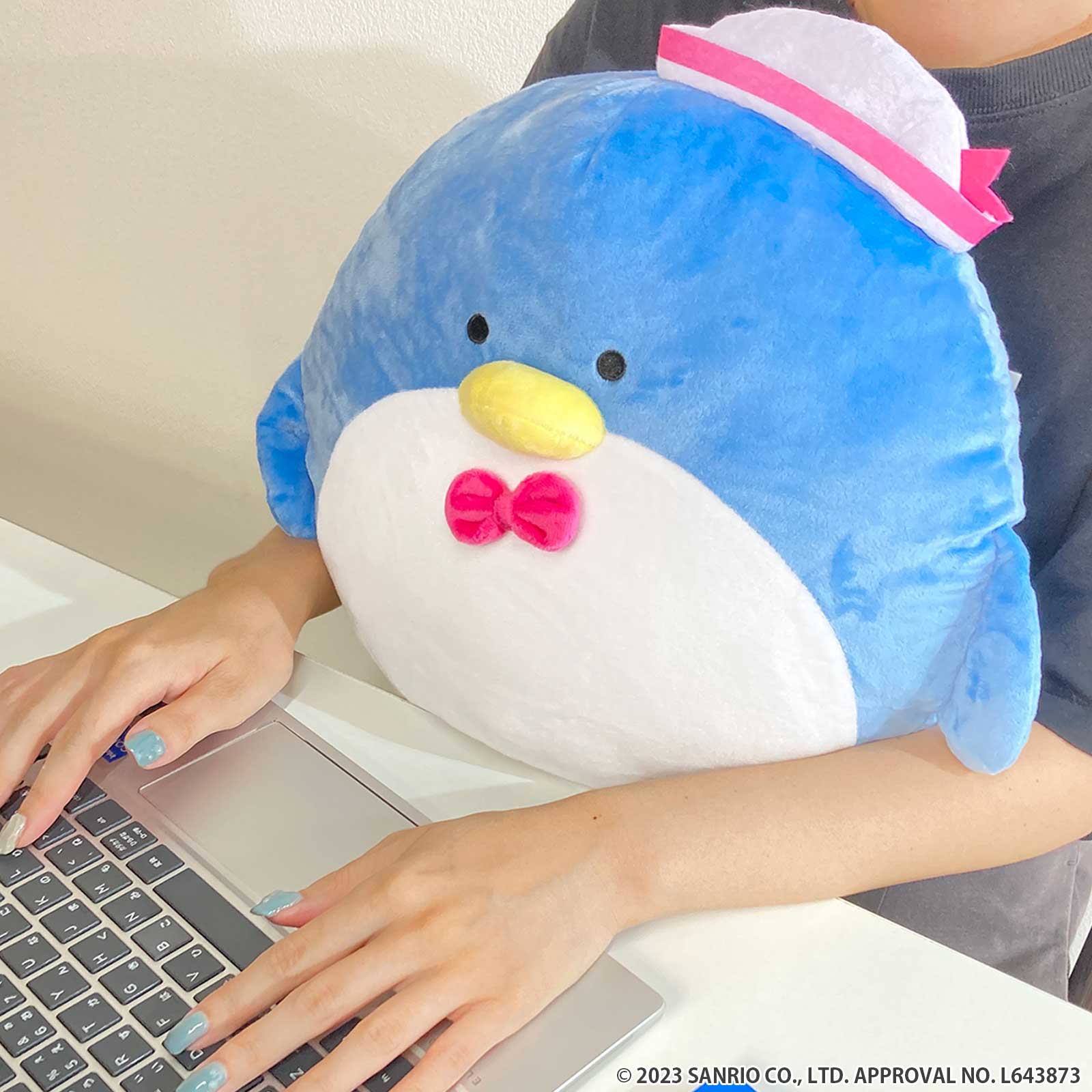 「もちもちクッション」（1716円）