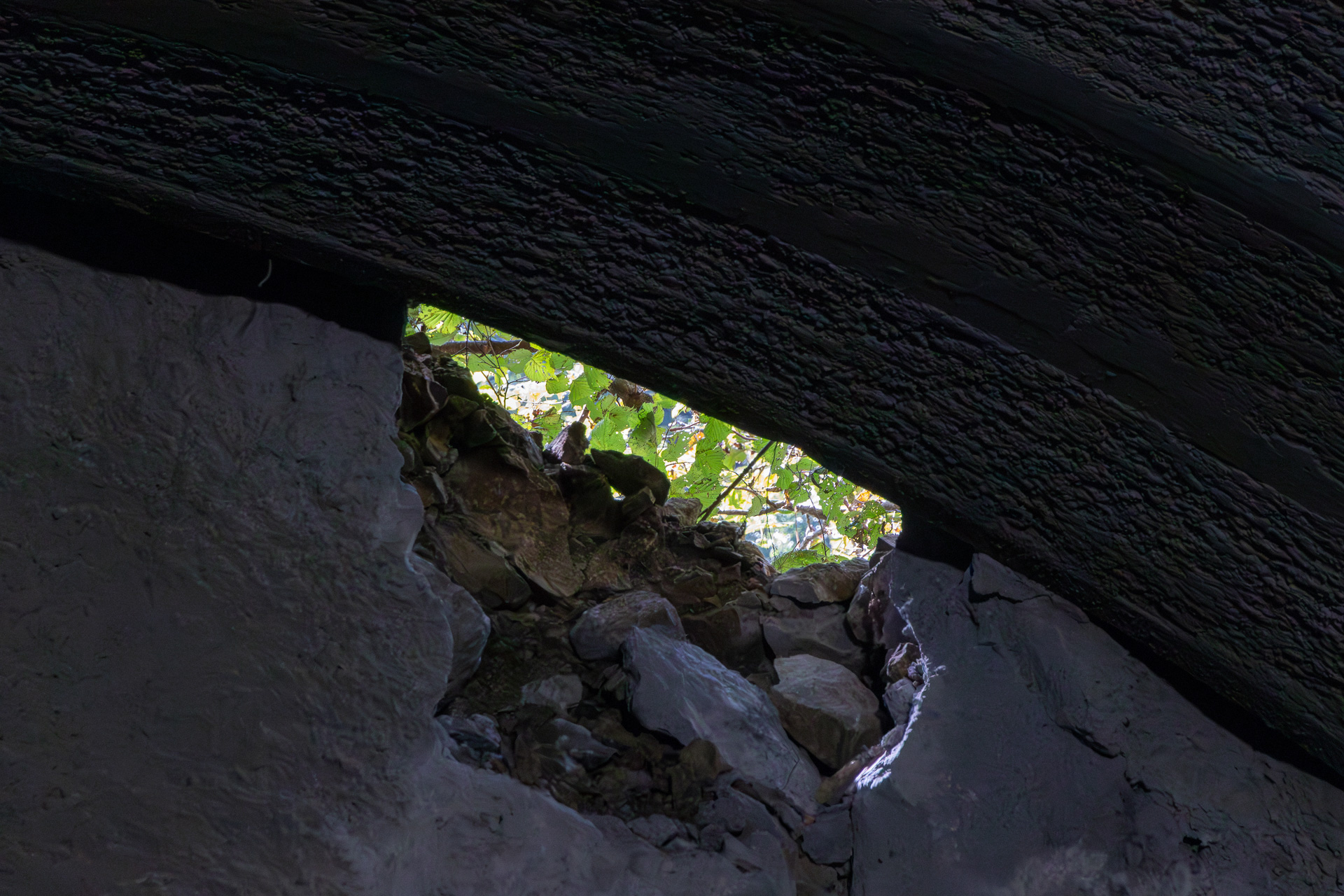開口部からは山肌を覆う緑も見える