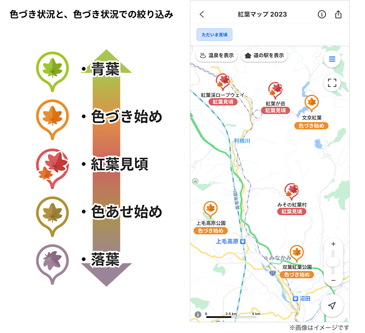 現在の色づき状況を5段階で表示