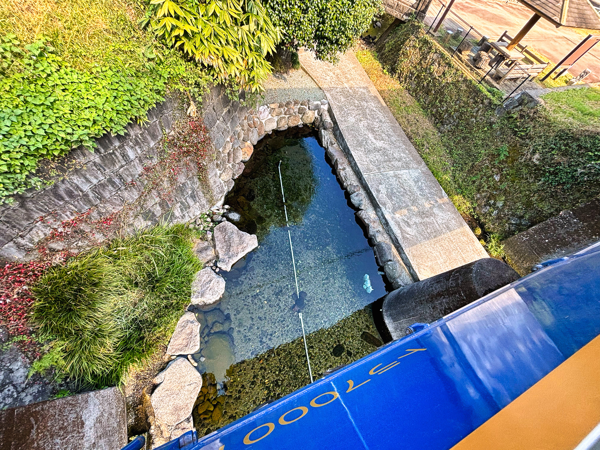 立野駅へ向かう列車から最後に見ることができる水源を見下ろす。コンコンと湧き出ているのが車窓からも確認できた