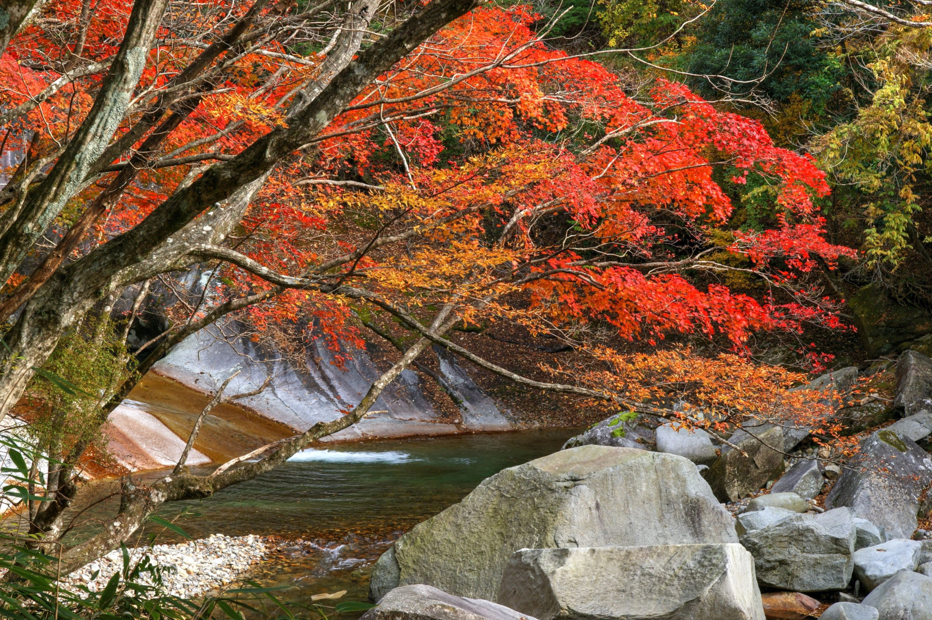 延岡市「鹿川渓谷」の紅葉