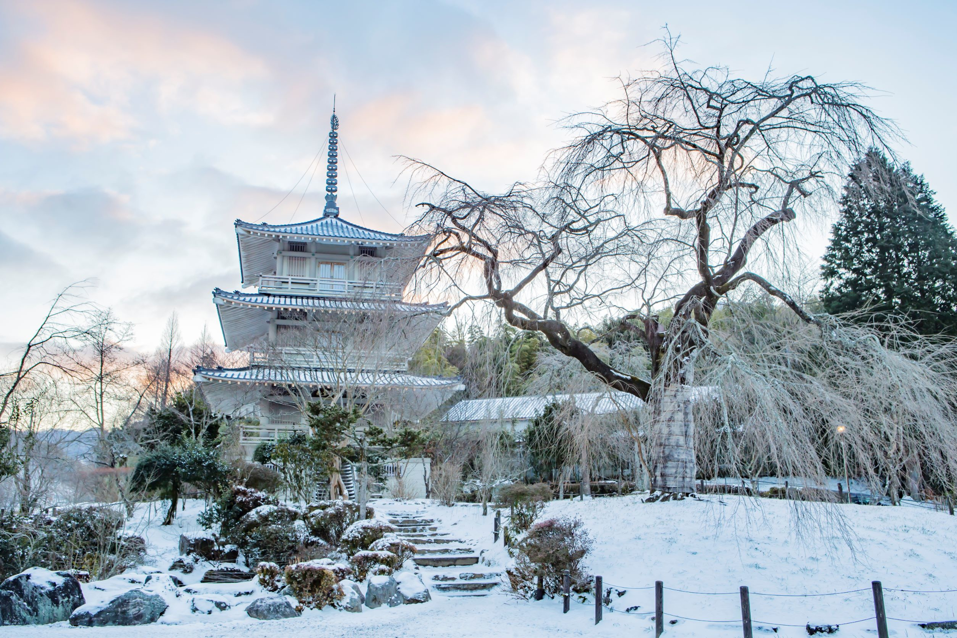 五ヶ瀬町「浄専寺としだれ桜」の雪景色