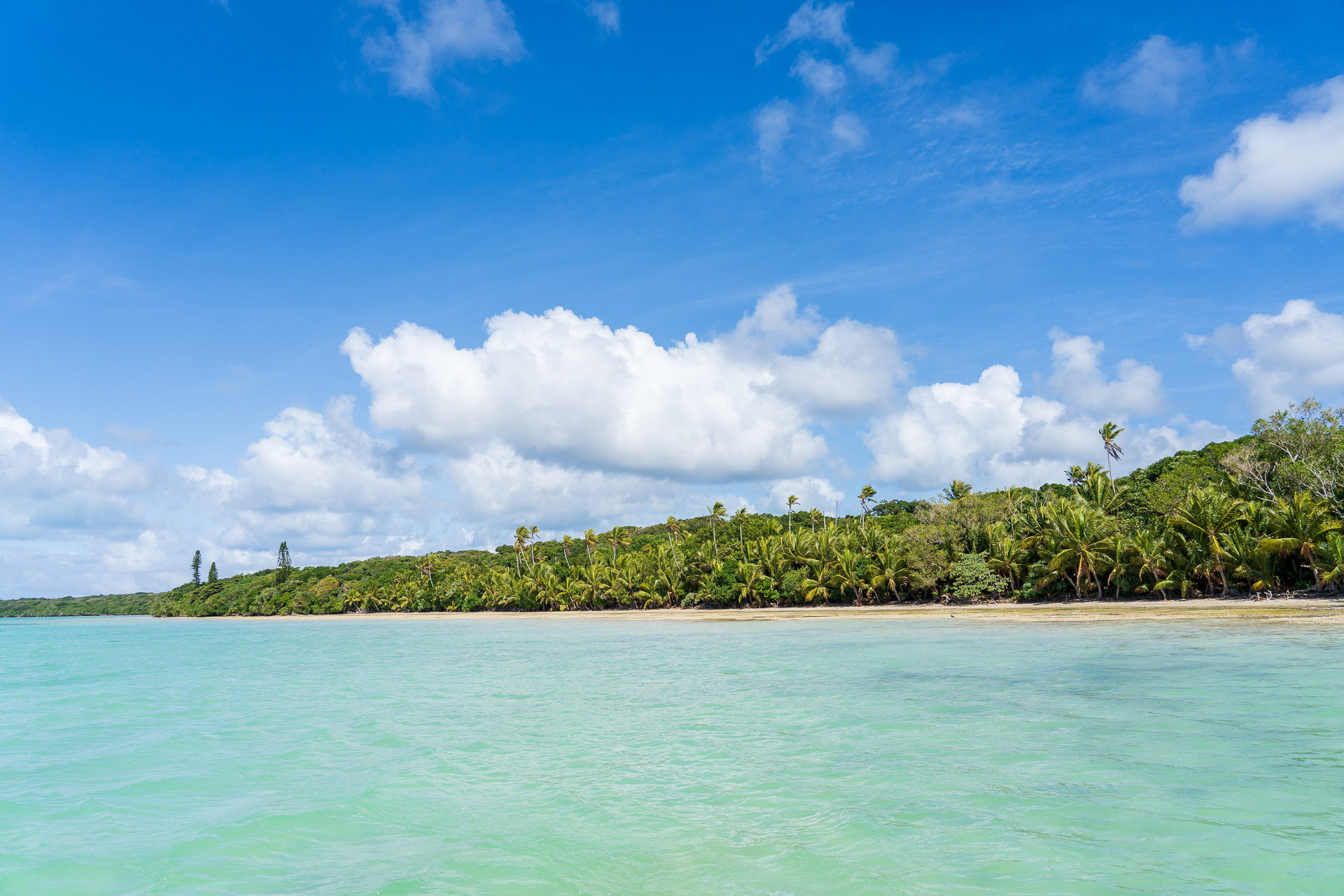 岸に近づいて海の色も変化