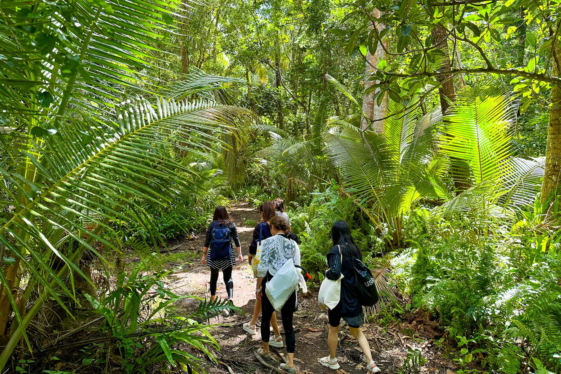 ヤシの木などが生い茂る森を小一時間トレッキング