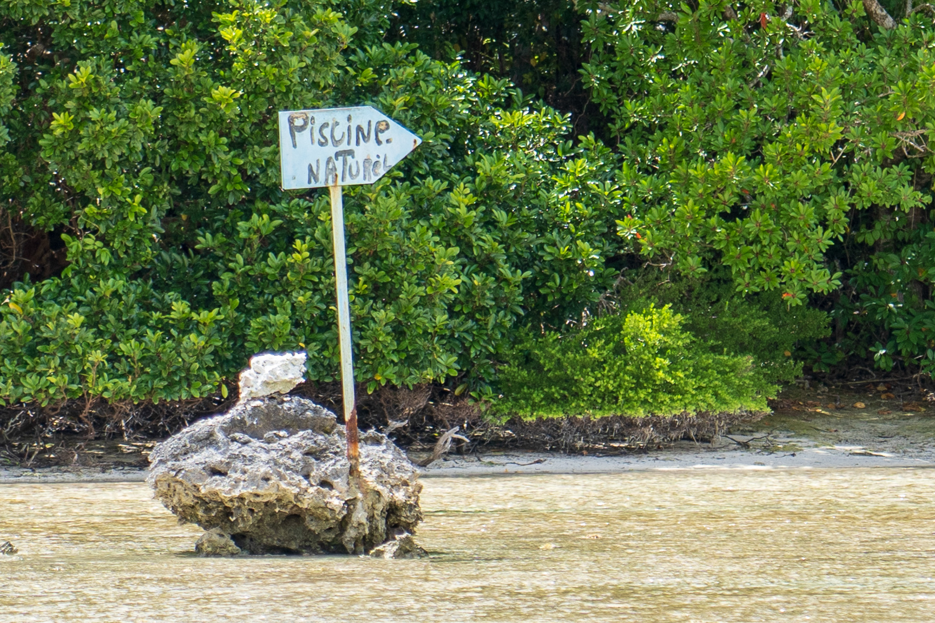 「Piscine Naturelleはあっち」の看板。見落とし注意