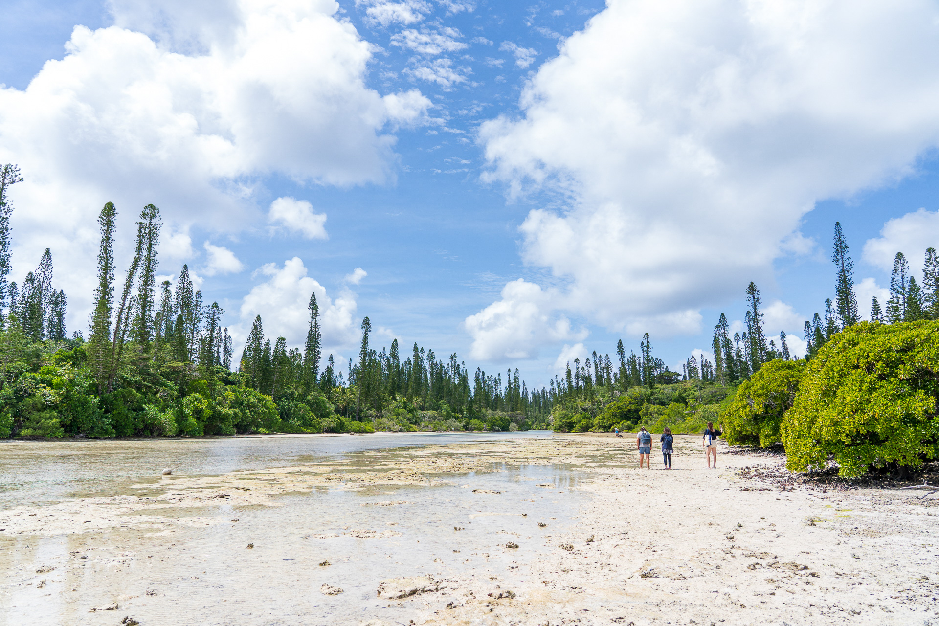 突然視界が開けます