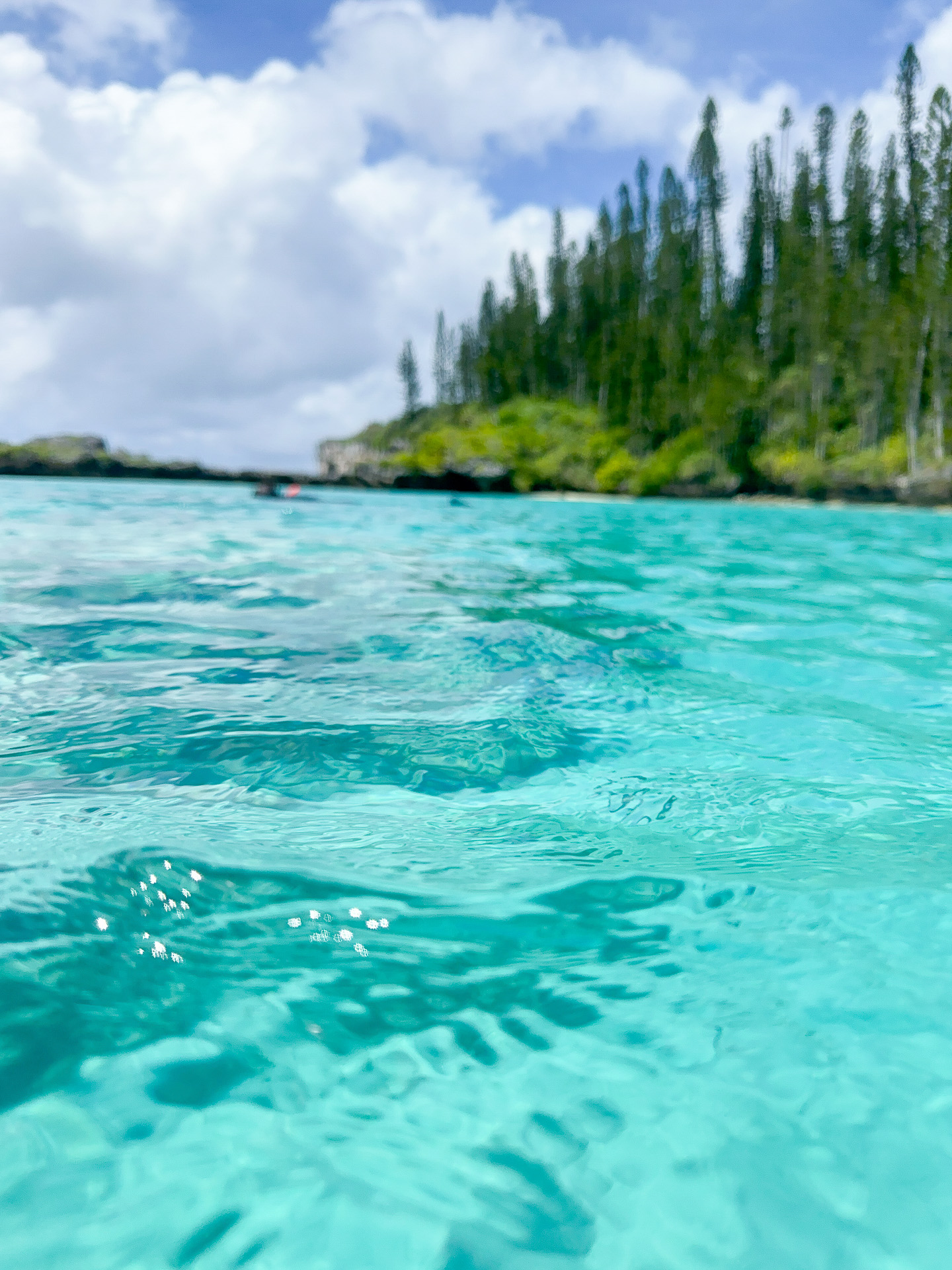 今回はiPhoneを防水ケースに入れて撮影