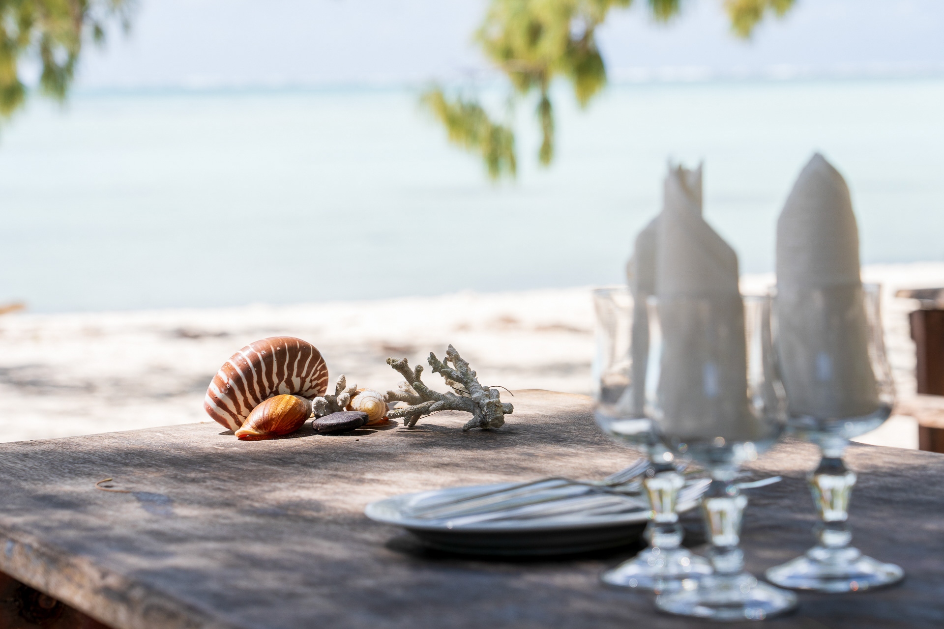 素朴でナチュラルな雰囲気がステキ