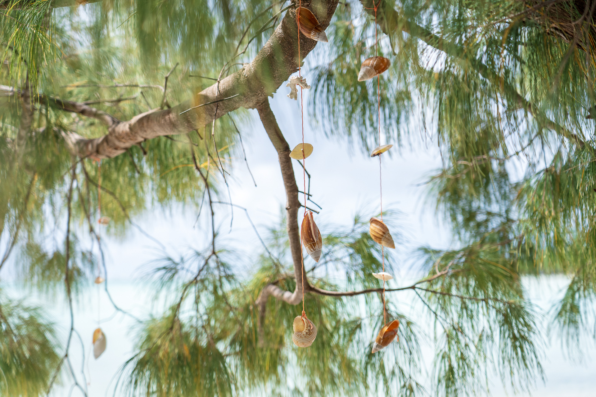 素朴でナチュラルな雰囲気がステキ