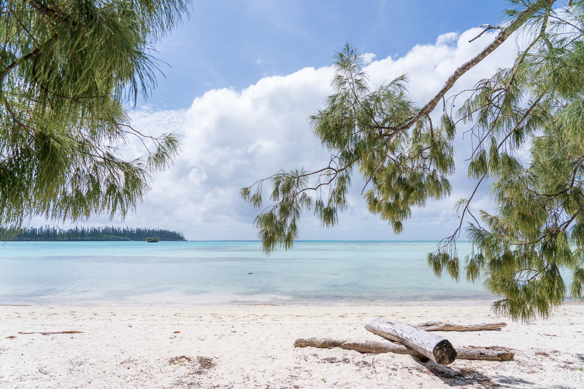 素朴でナチュラルな雰囲気がステキ