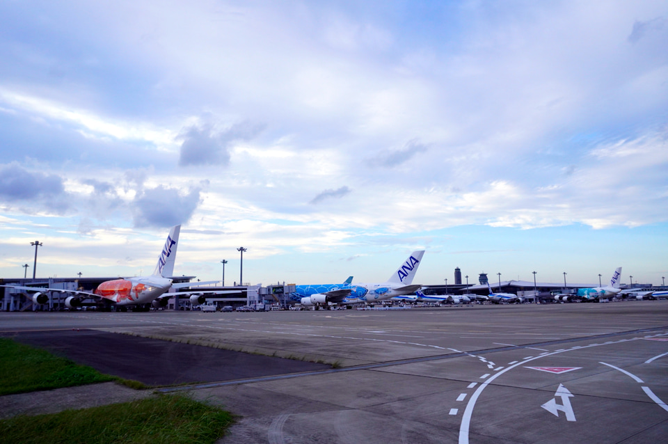 kamakiページ  ホヌ✕3機 成田に3機揃った！ ANAのエアバス A380型機「FLYING HONU」3号機