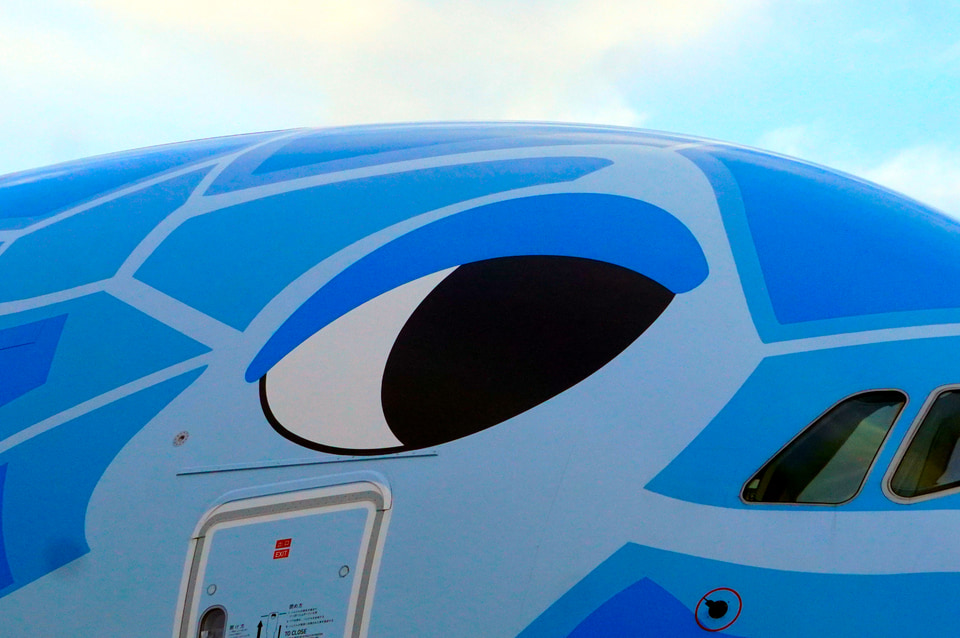 kamakiページ  ホヌ✕3機 成田に3機揃った！ ANAのエアバス A380型機「FLYING HONU」3号機