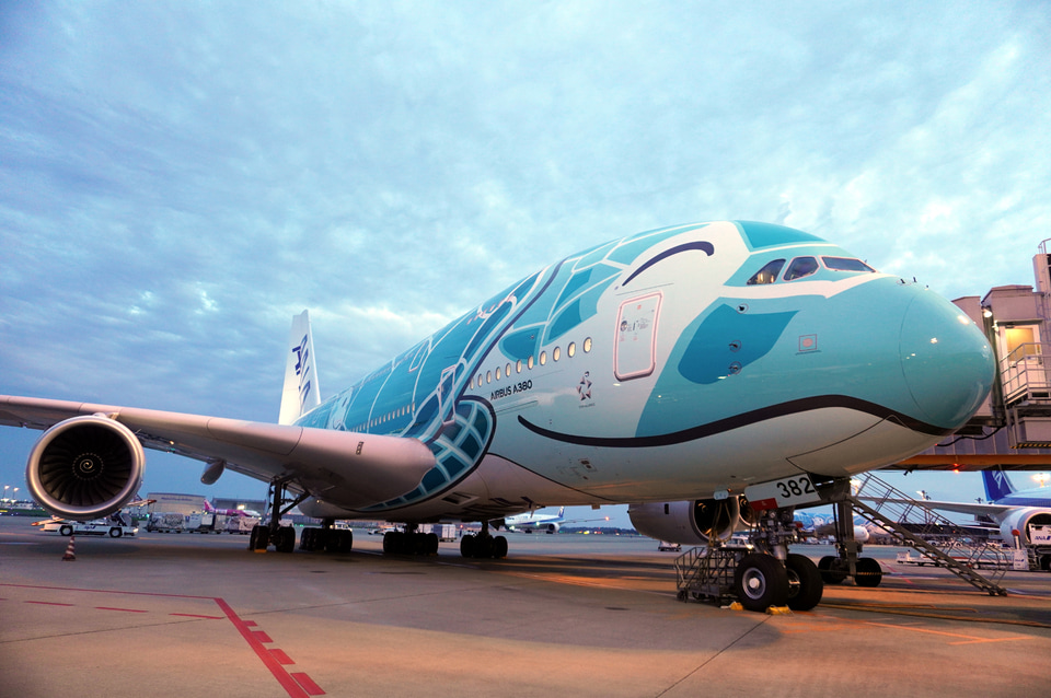 成田に3機揃った！ ANAのエアバス A380型機「FLYING HONU」3号機