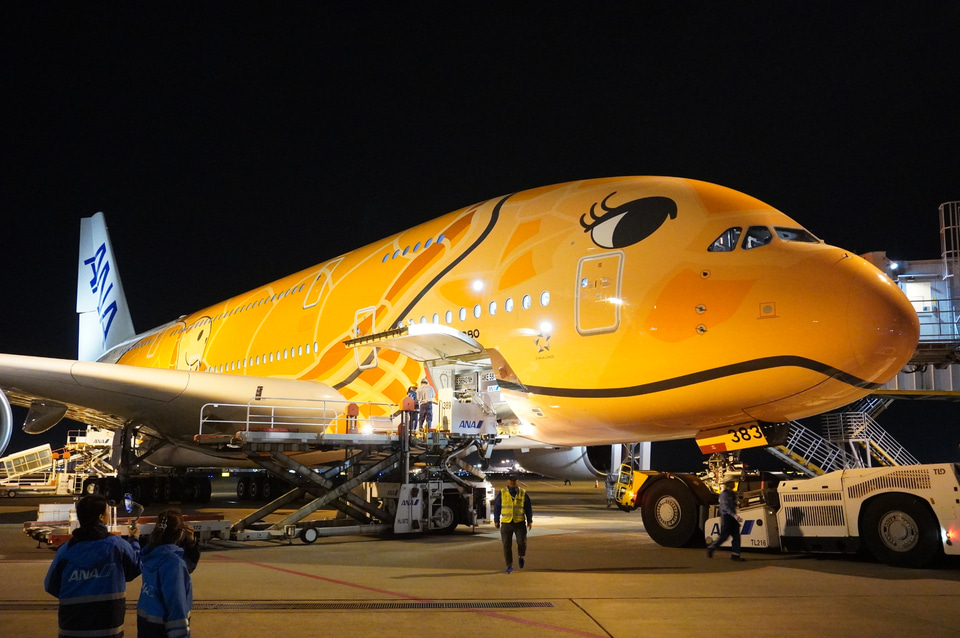 オレンジの“空飛ぶウミガメ”がホノルルへ出発！ ANAのエアバス