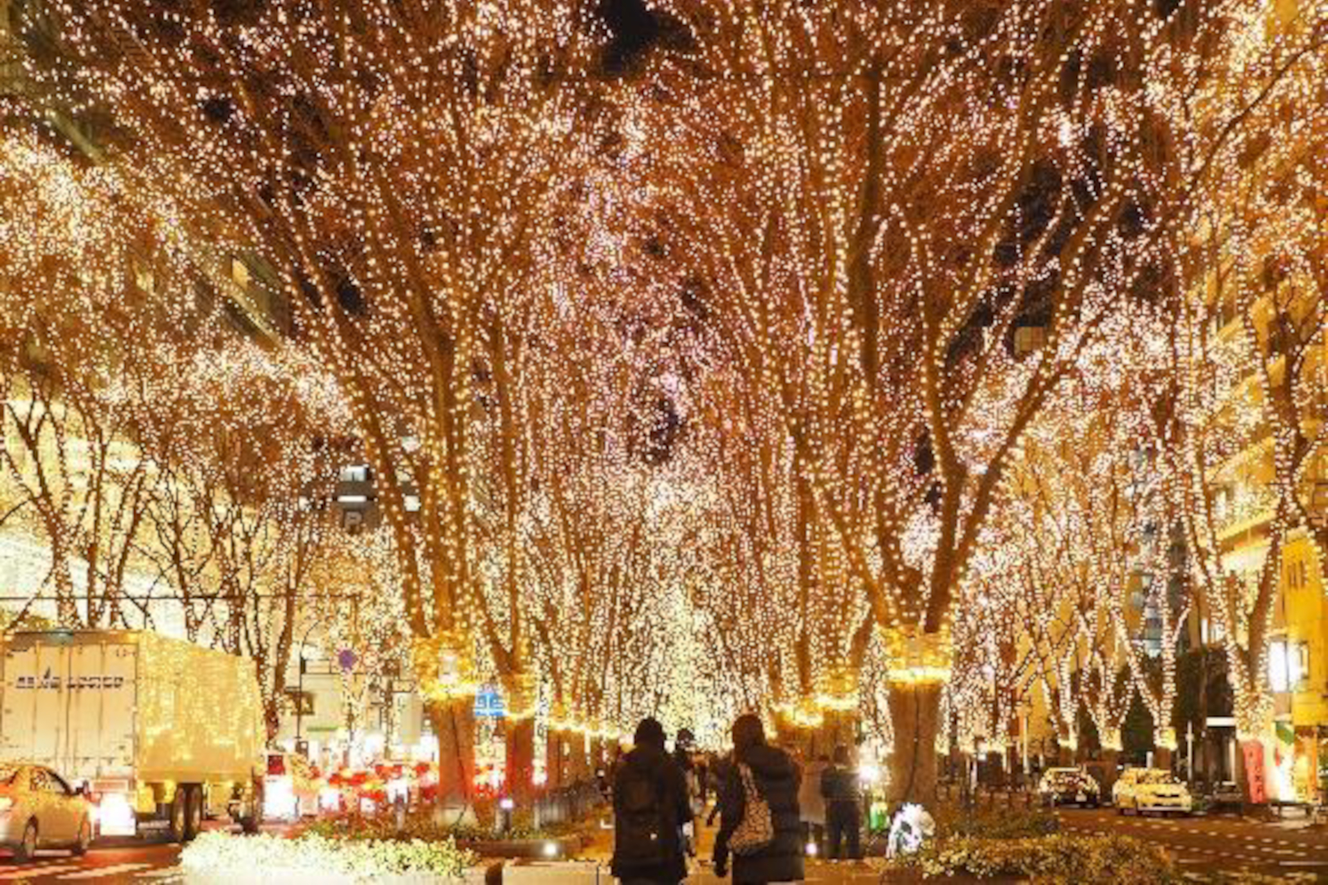 写真提供：宮城県観光プロモーション推進室