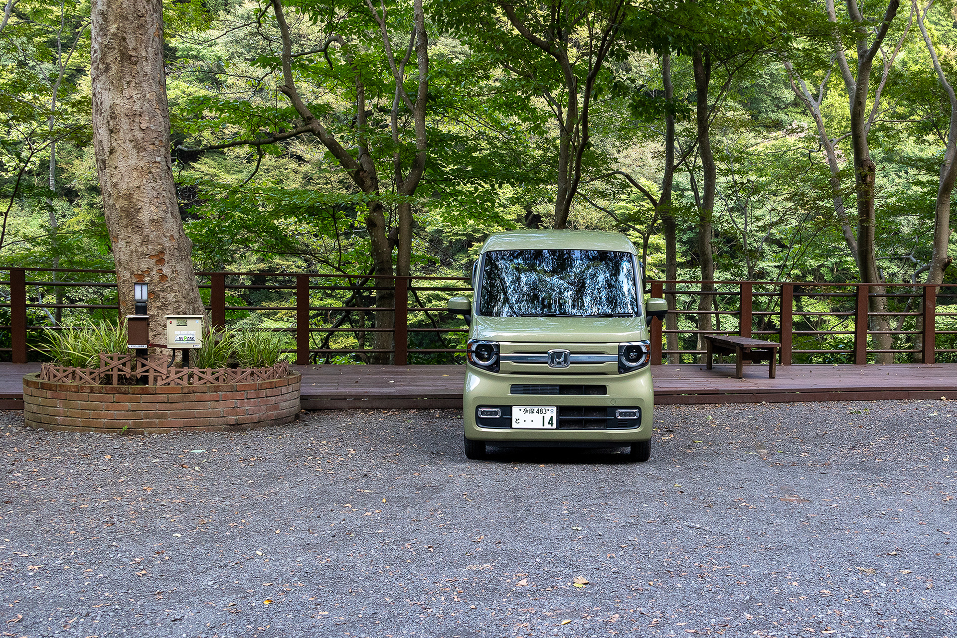 N-VANを駐めたのは3つあるうちの真んなかのスペース。横の木は樹齢100年以上とのこと