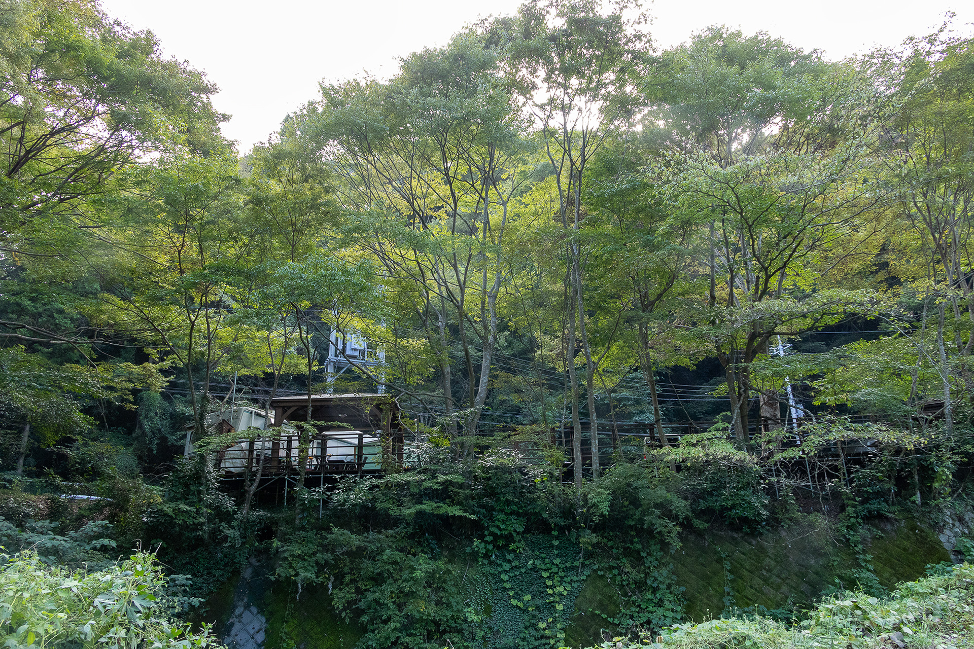 中津川の河原から施設を見た写真。ウッドデッキの下の作りからも以前は川の流れが違っていたことが分かる