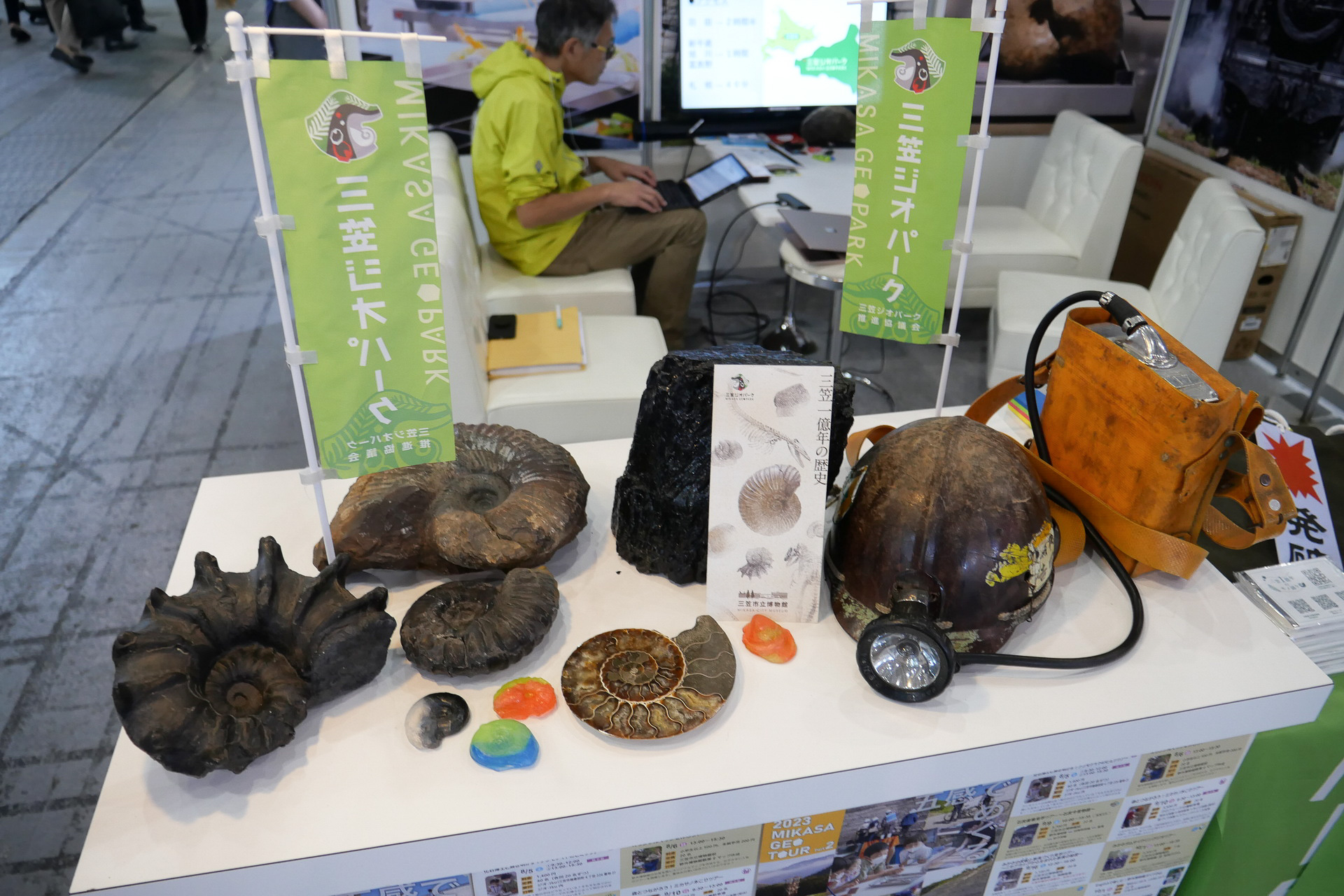 実際に触れられる本物の化石が置かれている