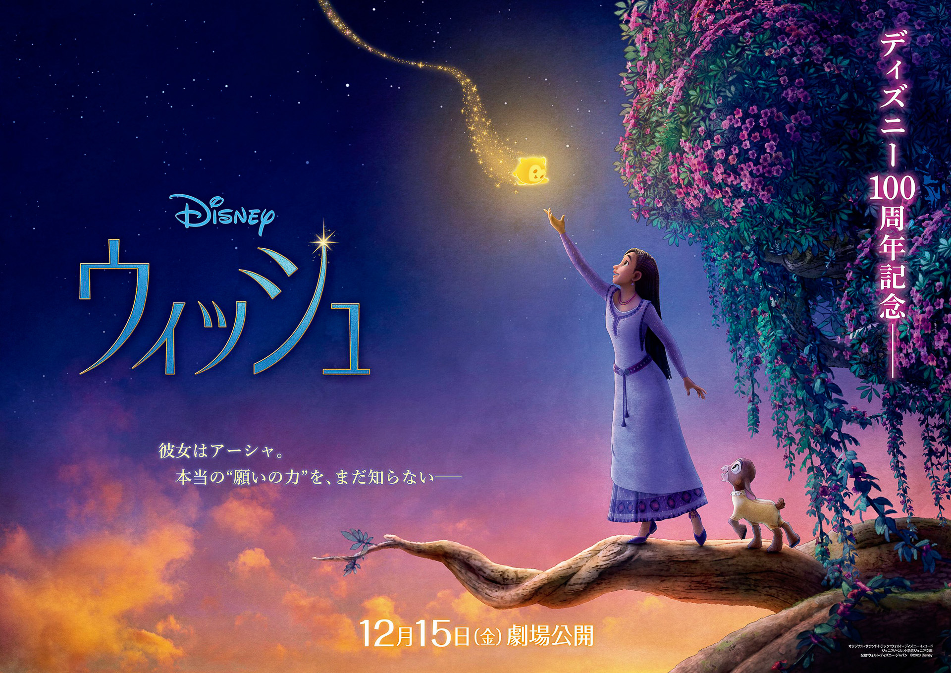 ディズニー100周年記念映画「ウィッシュ」