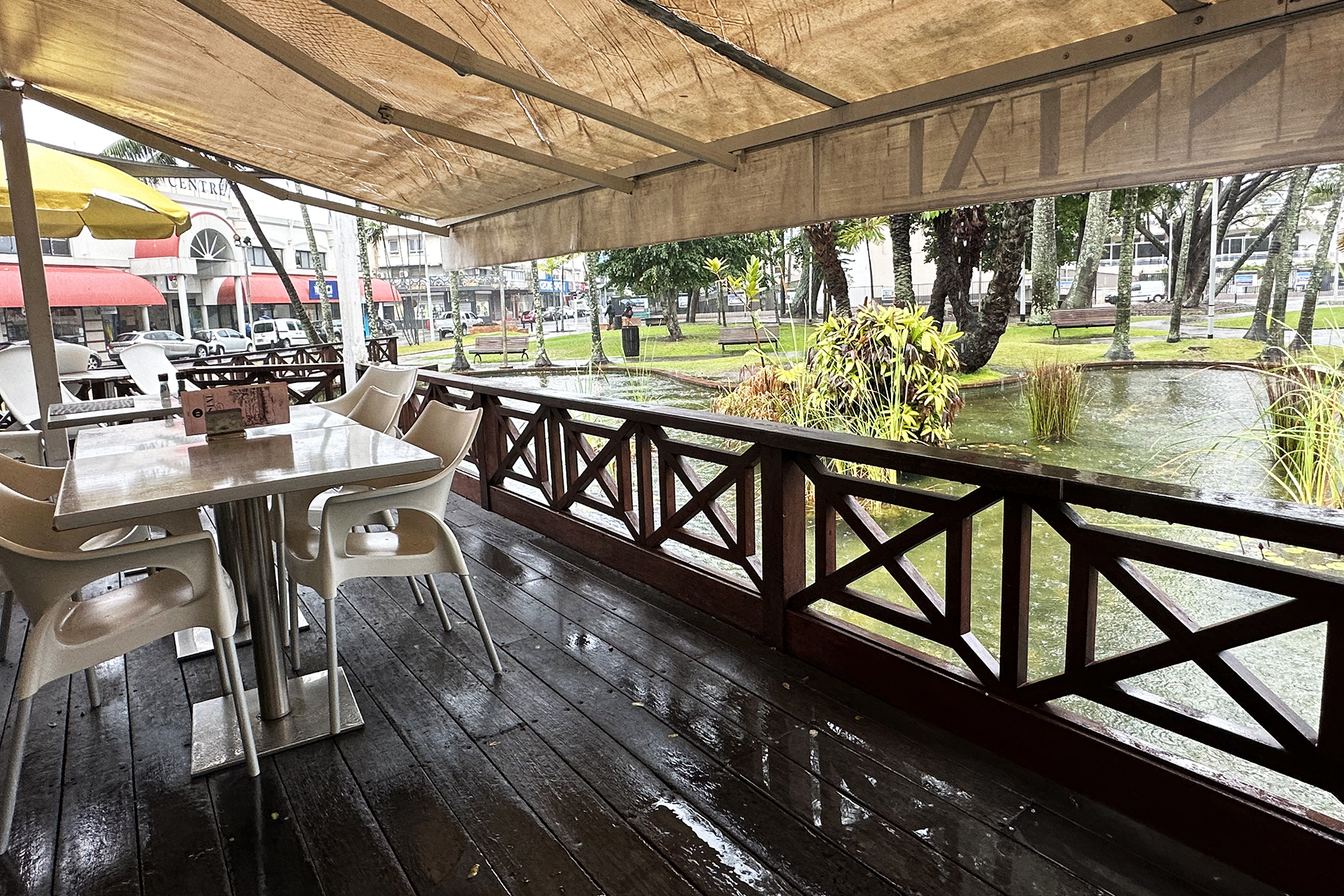 広場の緑を見ながらカフェでひとり雨宿り
