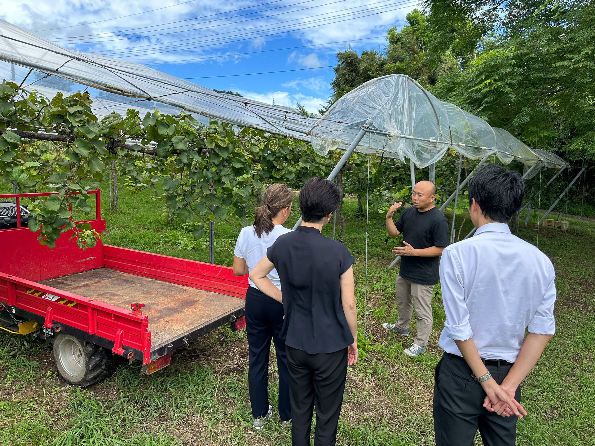 都農ワイナリーでの視察風景
