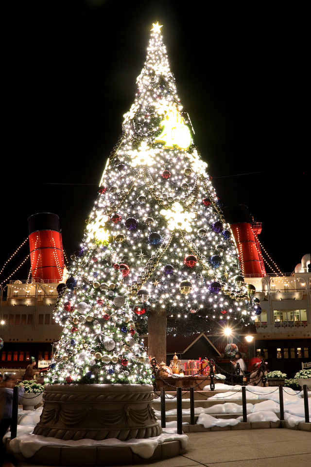 夜の東京ディズニーシーは豪華クリスマスツリーに酔いしれて