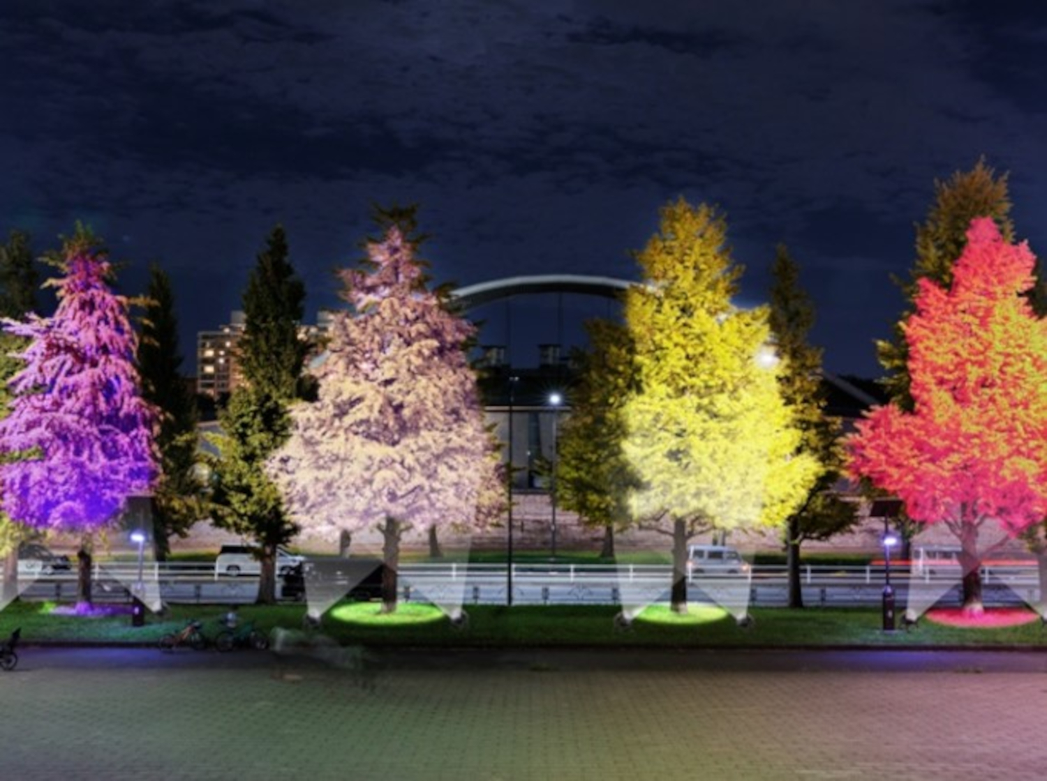 ライトアップされたイチョウ並木