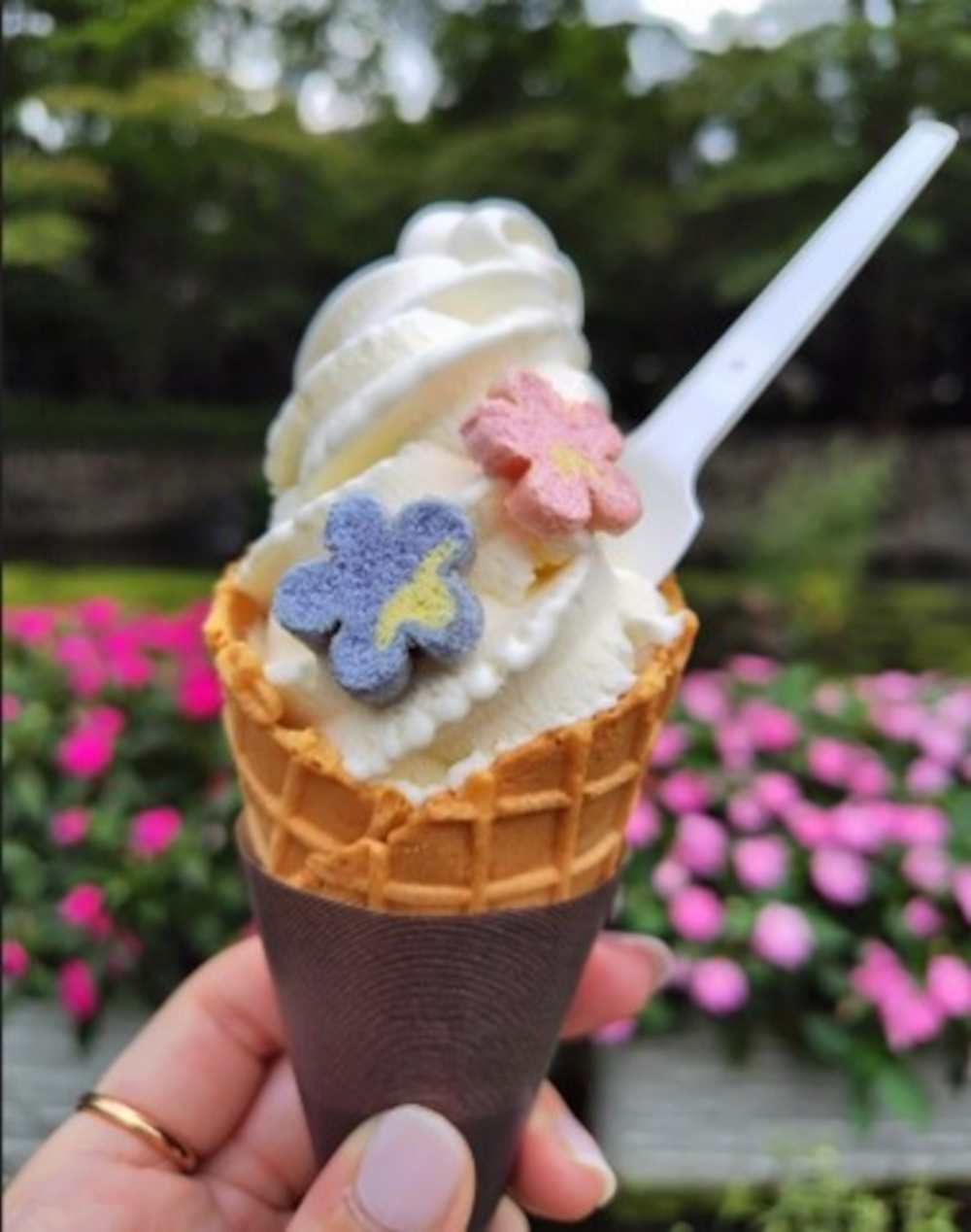コラボしたオリジナルアイスクリーム