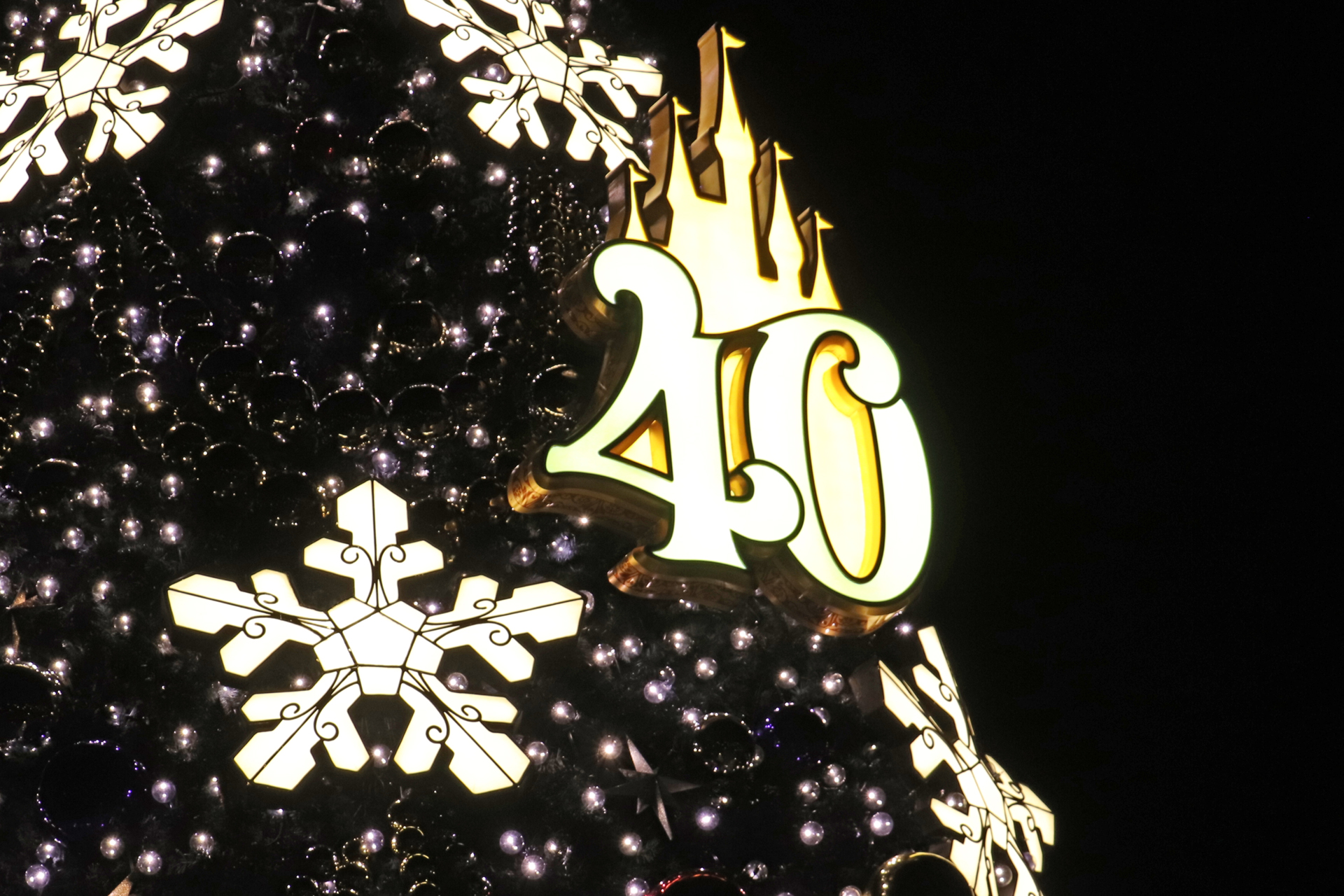 4年ぶりに復活した高さ約15mのクリスマスツリーをはじめ、ロマンチックなイルミネーションを楽しめる東京ディズニーシー