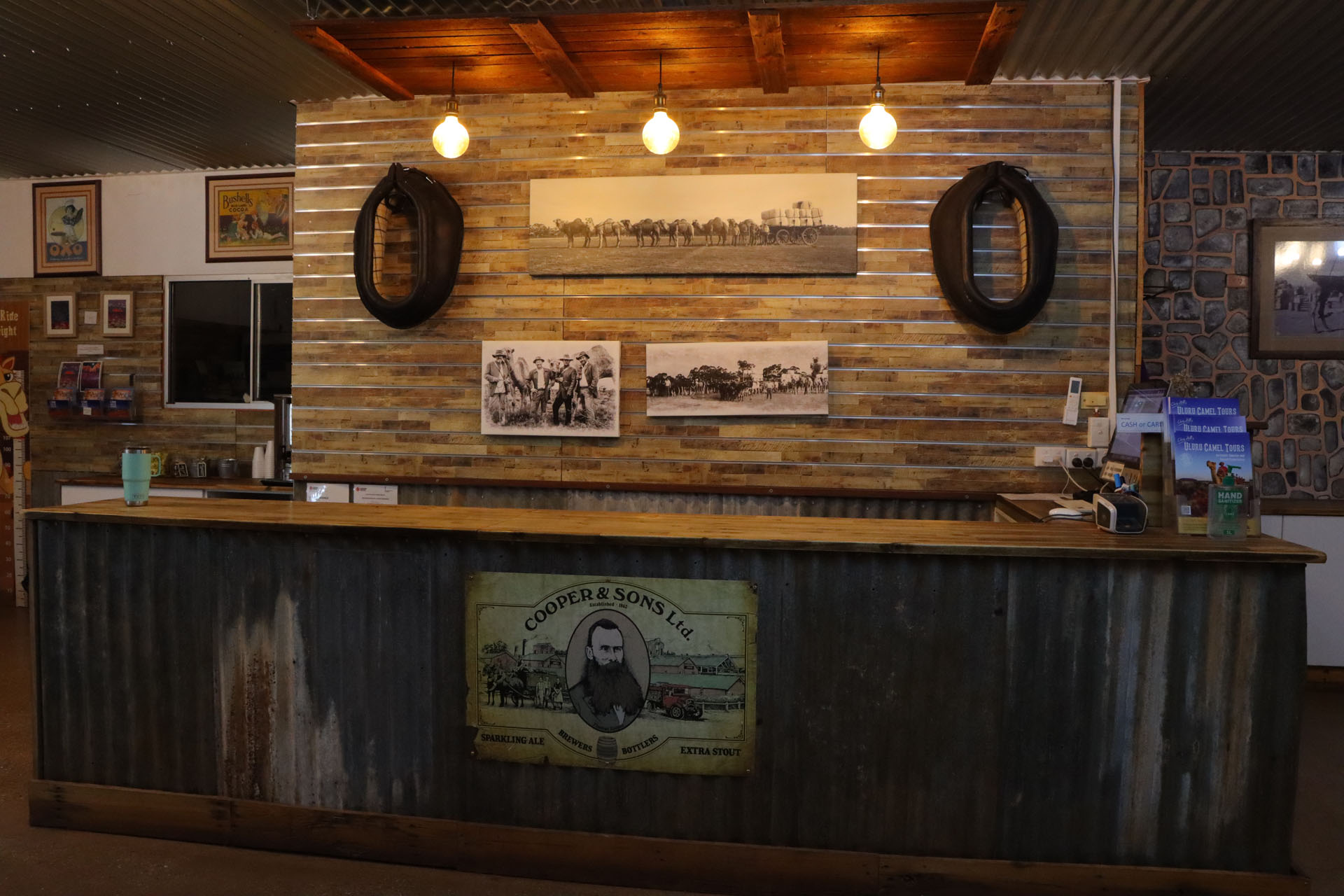 早朝からラクダに会いに牧場へ