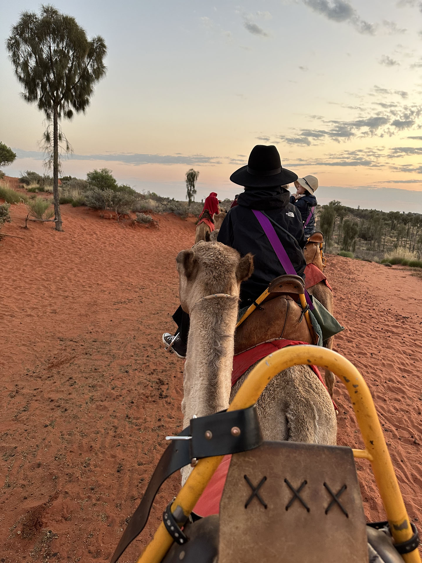 徐々に明るくなってきて、遠くにはウルルの姿も見えてくる