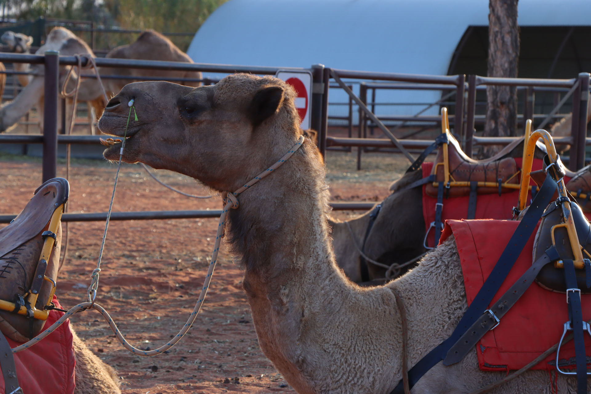 ツアーが終わったあとは温かい飲み物をいただいた