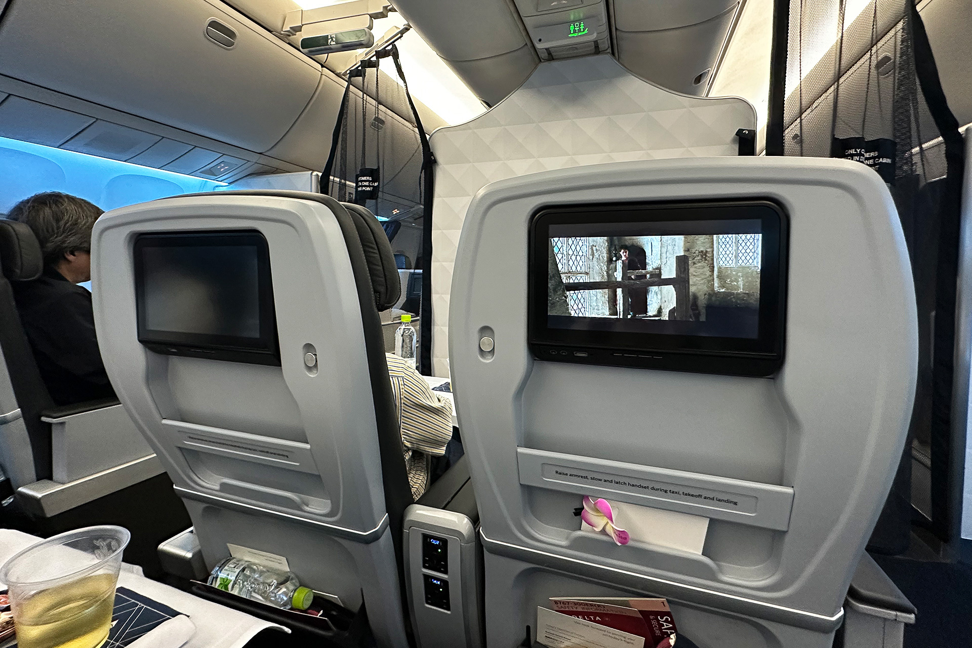 メッシュカーテンの向こうはビジネスクラス「デルタ・ワン」