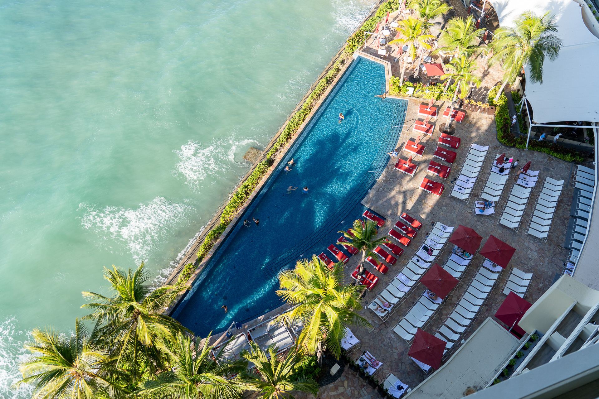 下にはインフィニティプール。この日も海で泳ぐウミガメの姿が見えて感動