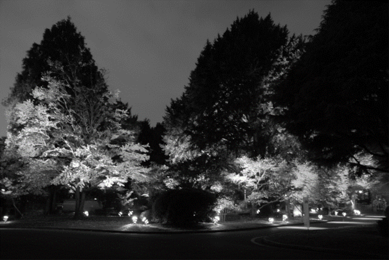 芝生広場・東側「オンブル」