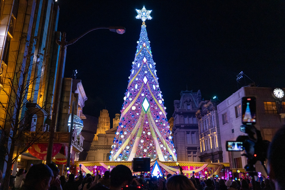 USJのクリスマス、ゼッタイ撮りたい“NO LIMIT！”な巨大ツリーは