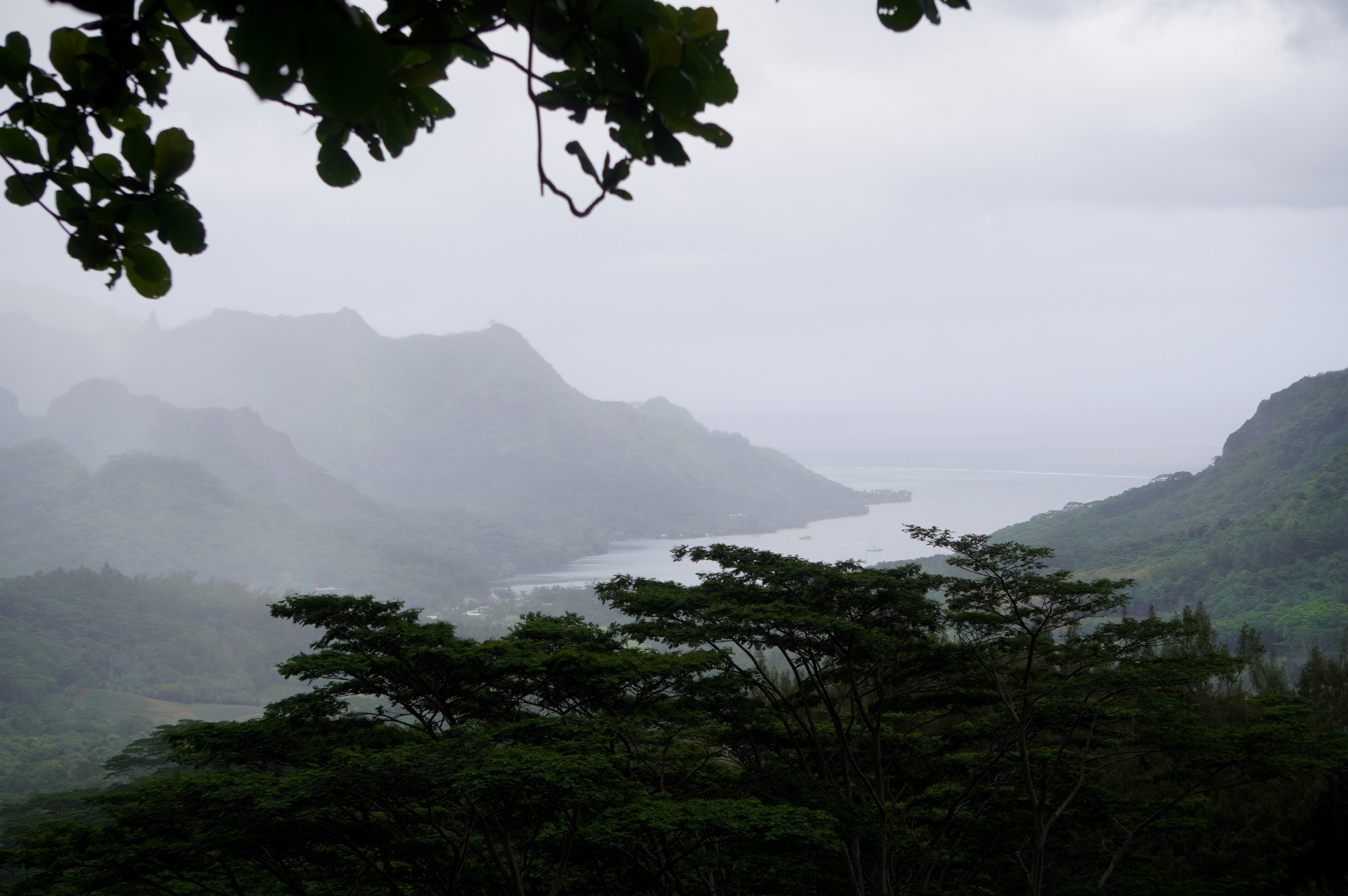 モーレア島の2大湾を望む「ベルヴェデール展望台」