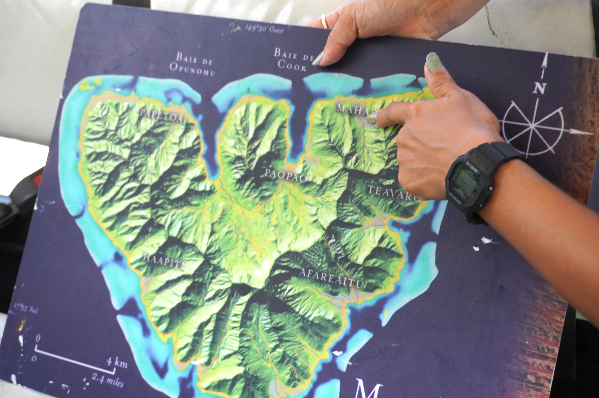 4WDに乗ってモーレア島サファリツアーへ