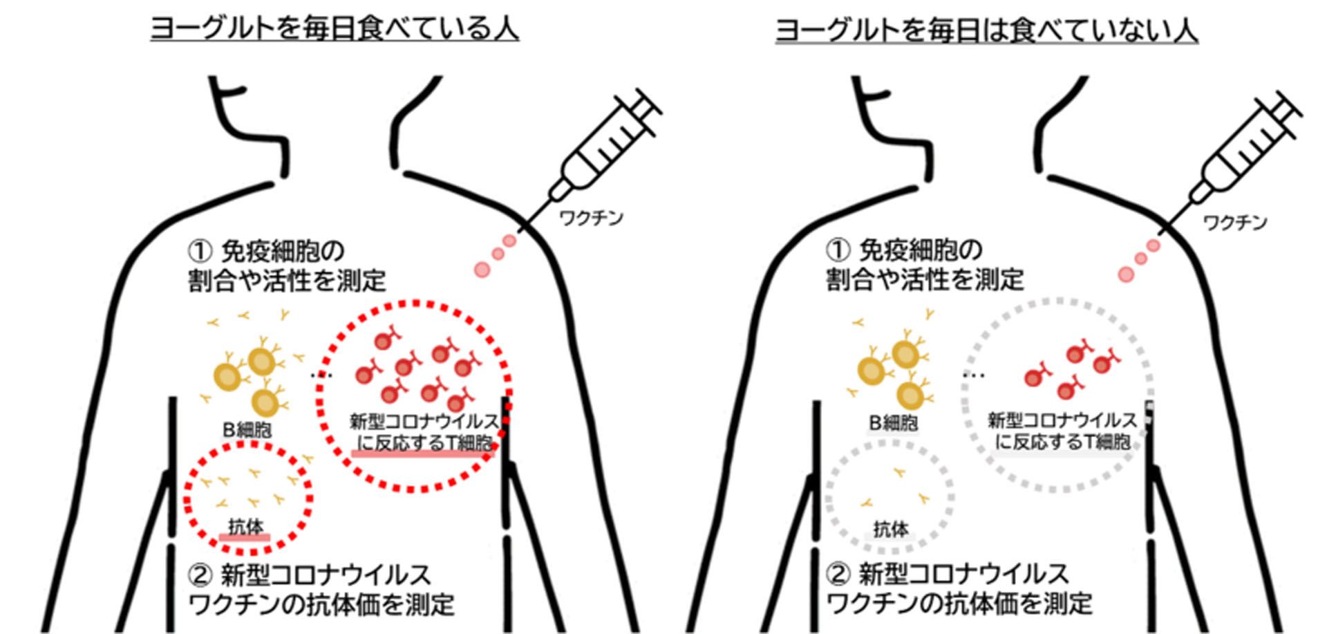 「神奈川県産官学共同 新型コロナウイルス抗体価社会調査プロジェクト」の中間報告が発表された